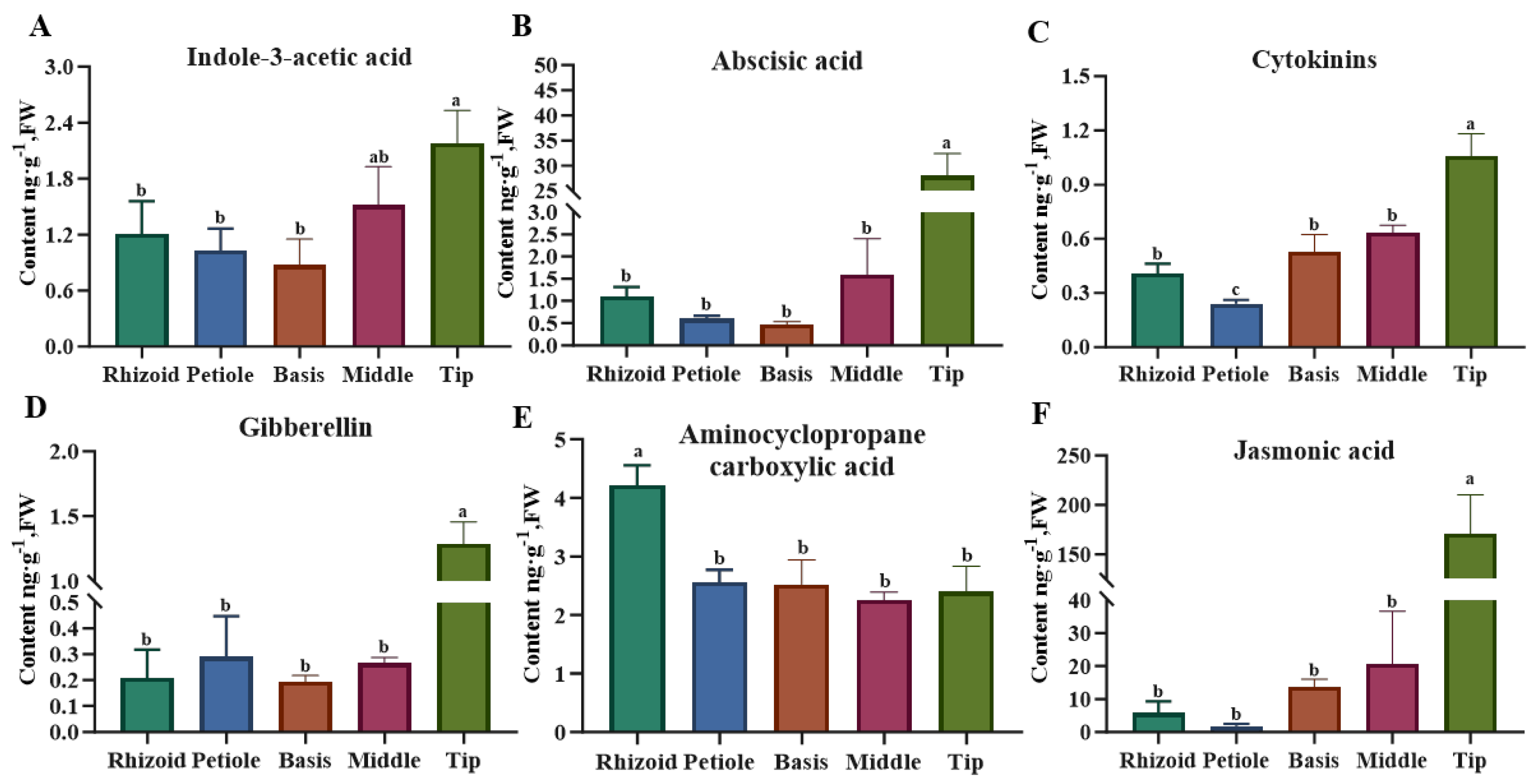 Plants 14 01821 g004 Plants 14 01821 g004