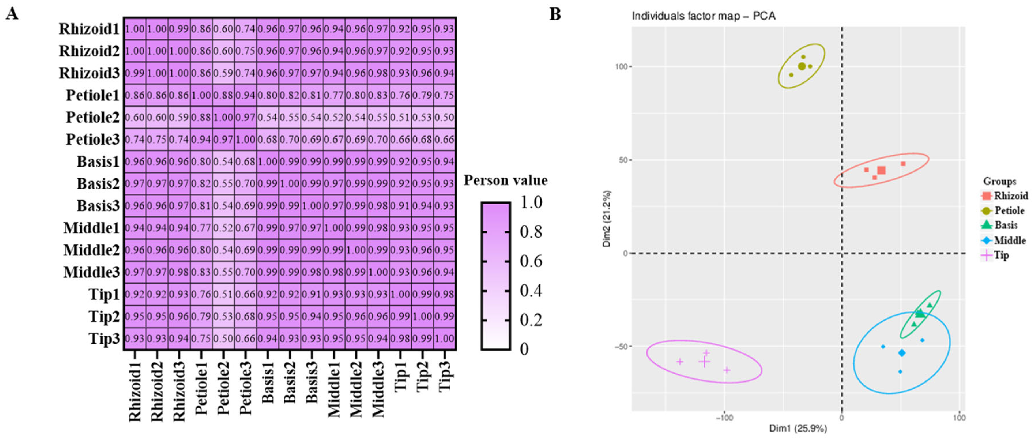 Plants 14 01821 g005 Plants 14 01821 g005