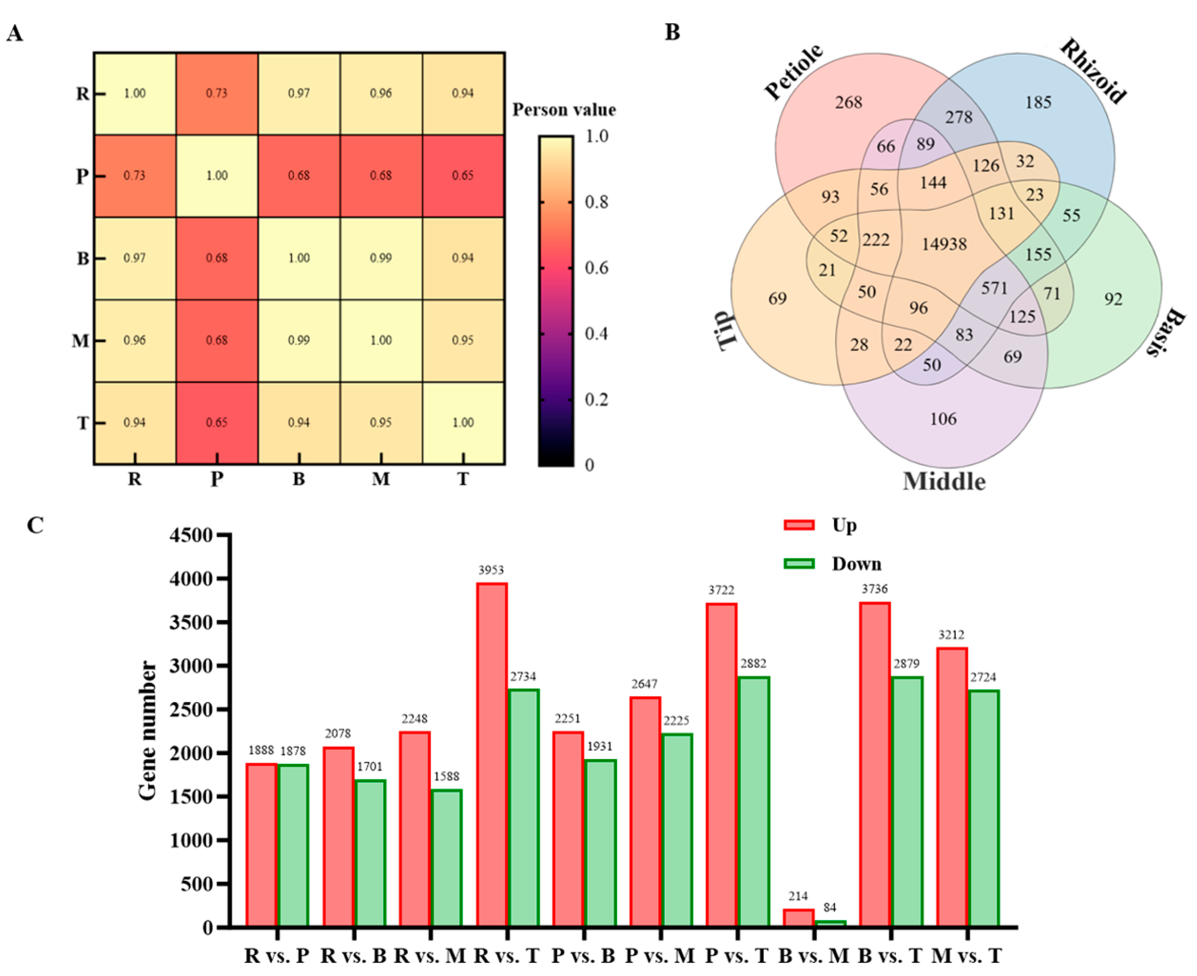 Plants 14 01821 g006 Plants 14 01821 g006