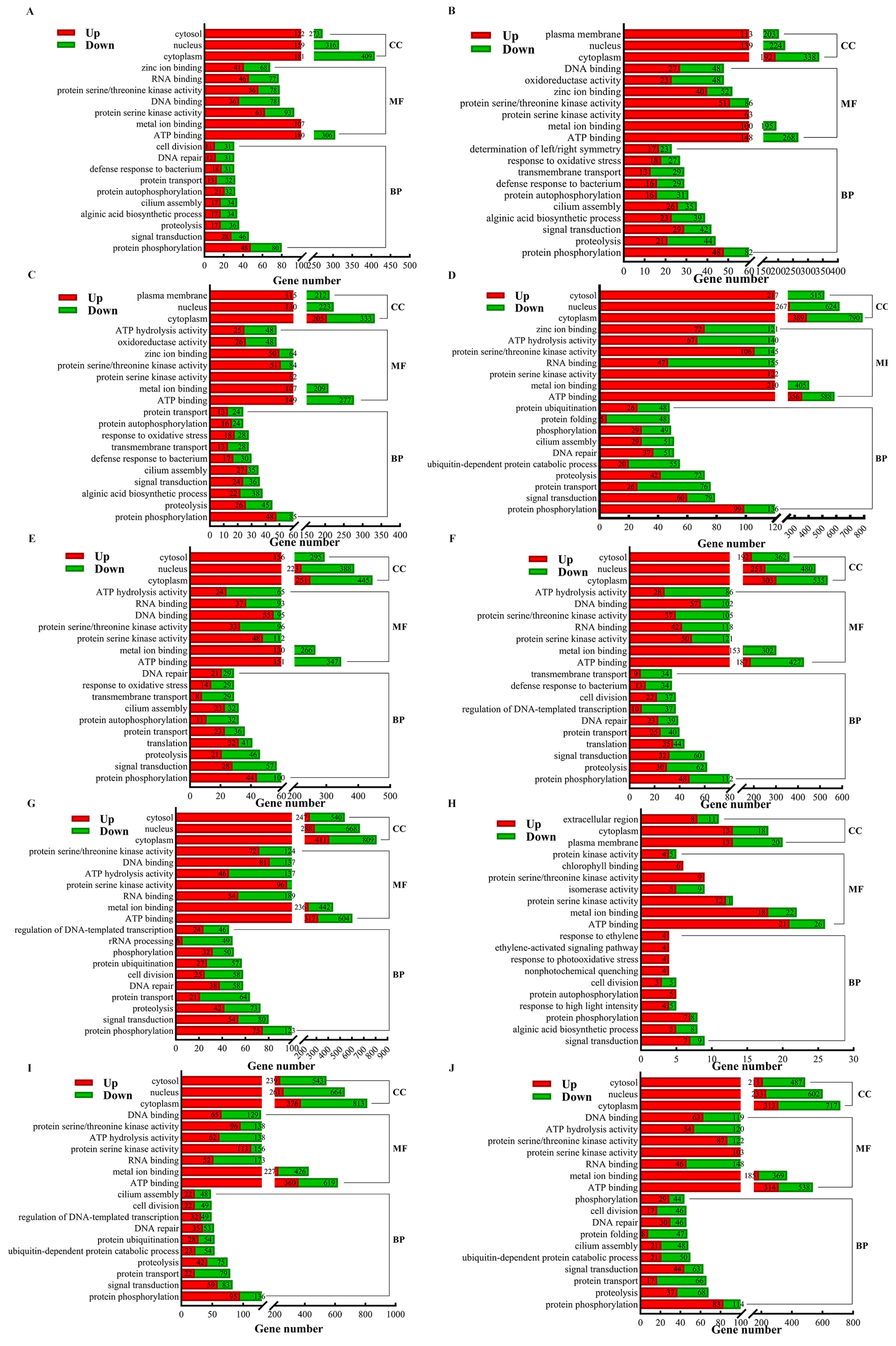Plants 14 01821 g007 Plants 14 01821 g007