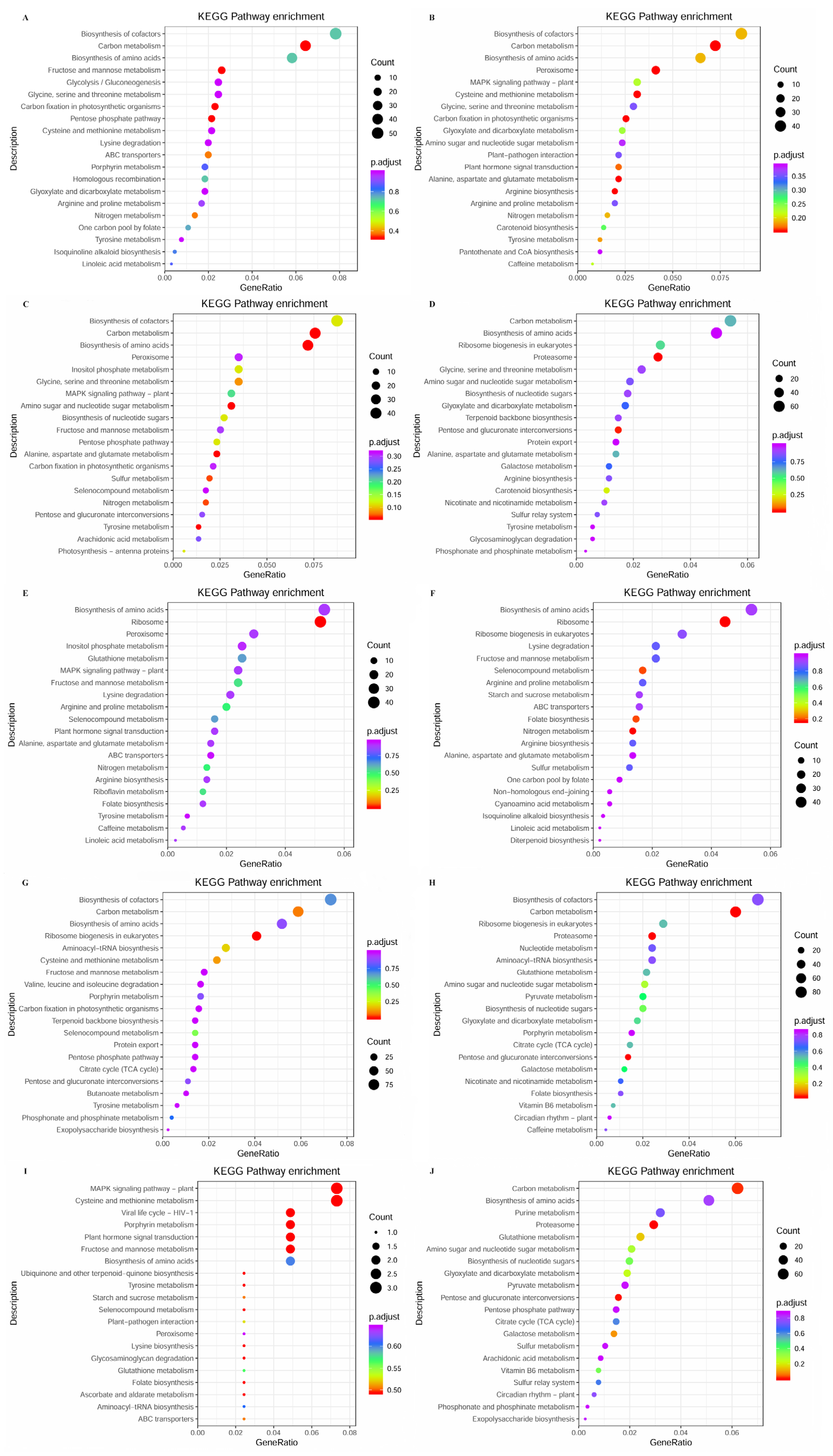 Plants 14 01821 g008 Plants 14 01821 g008