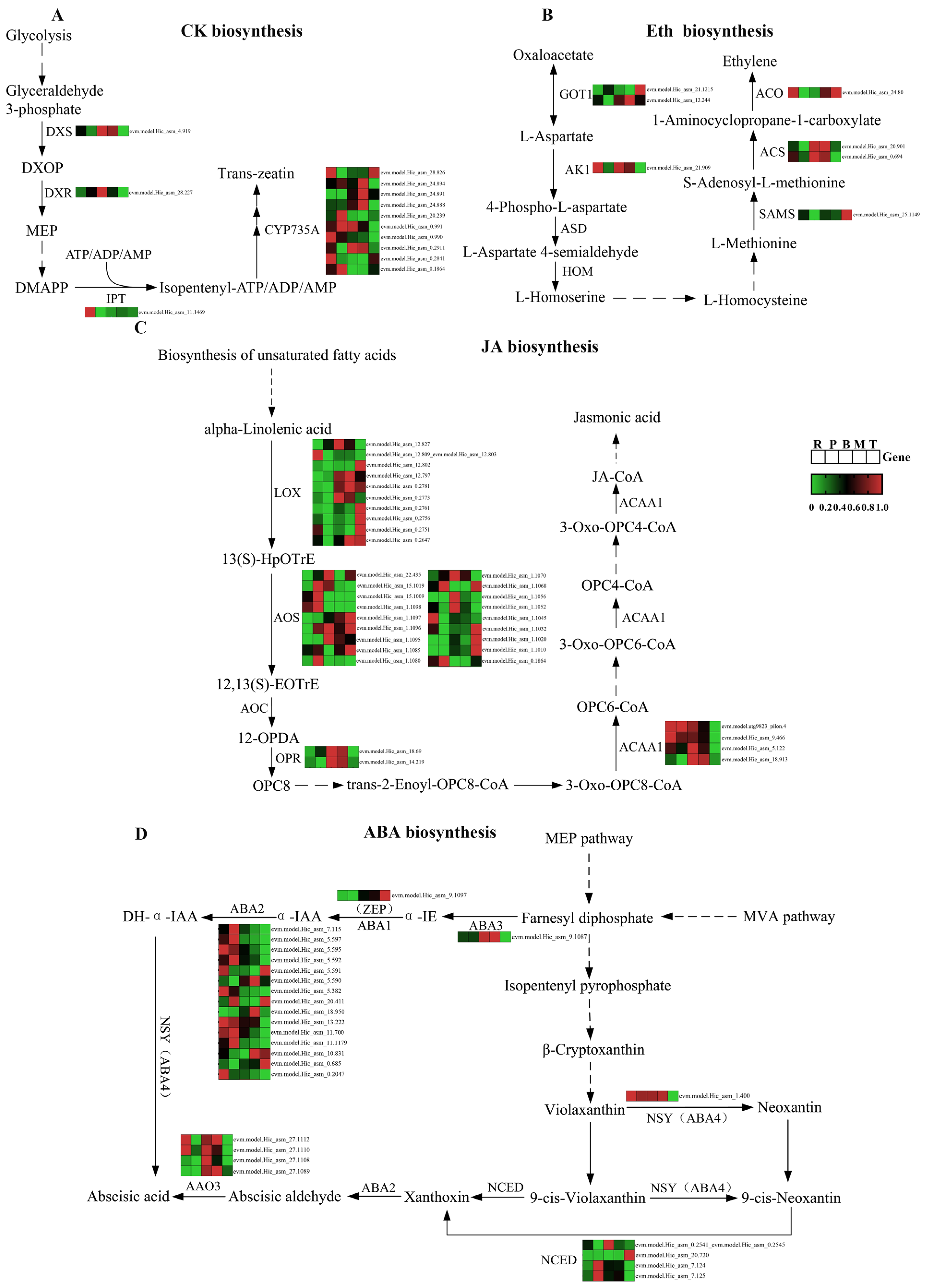 Plants 14 01821 g009 Plants 14 01821 g009