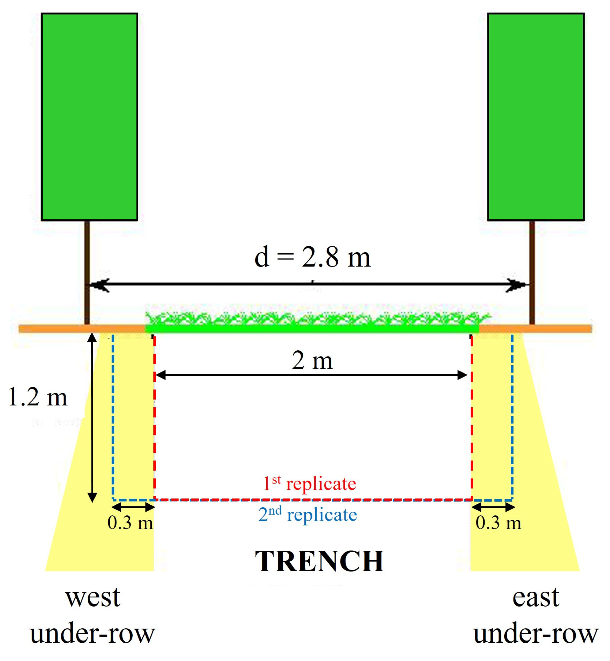 Plants 14 01823 g003