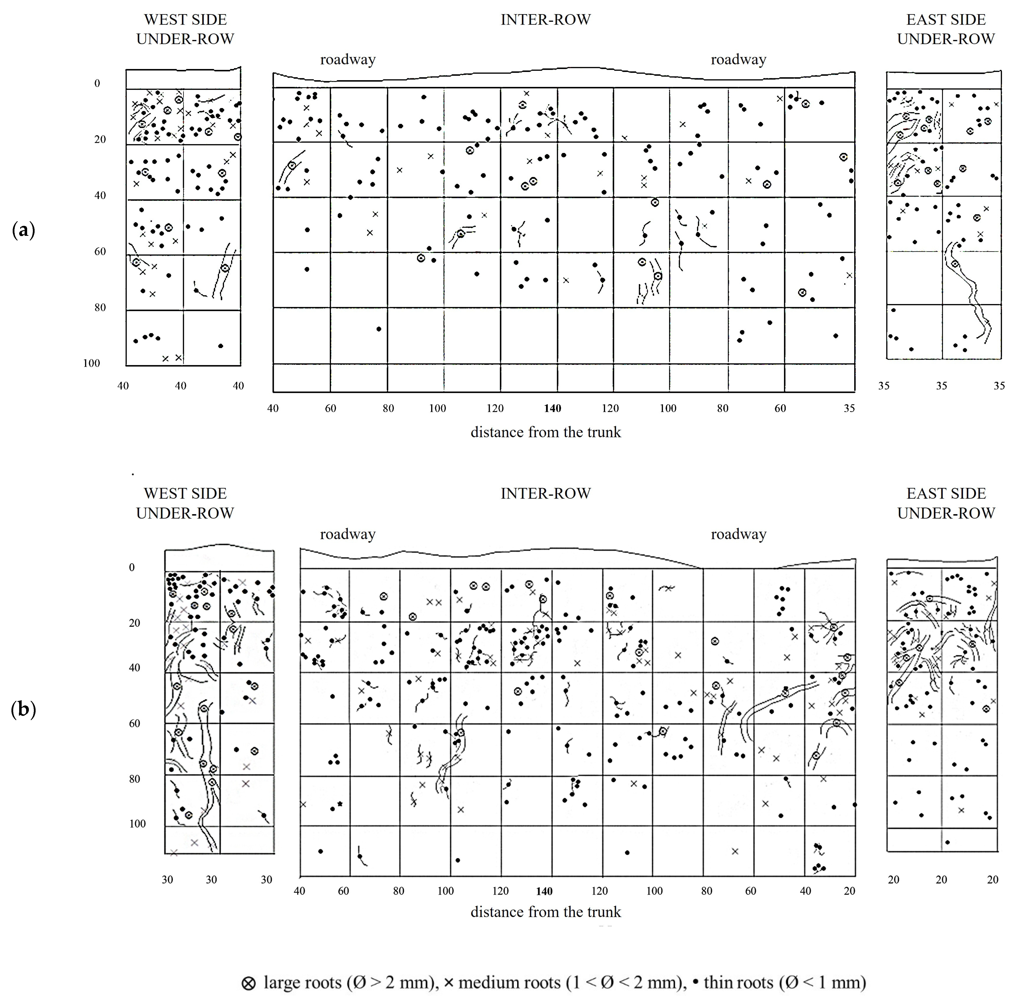 Plants 14 01823 g005