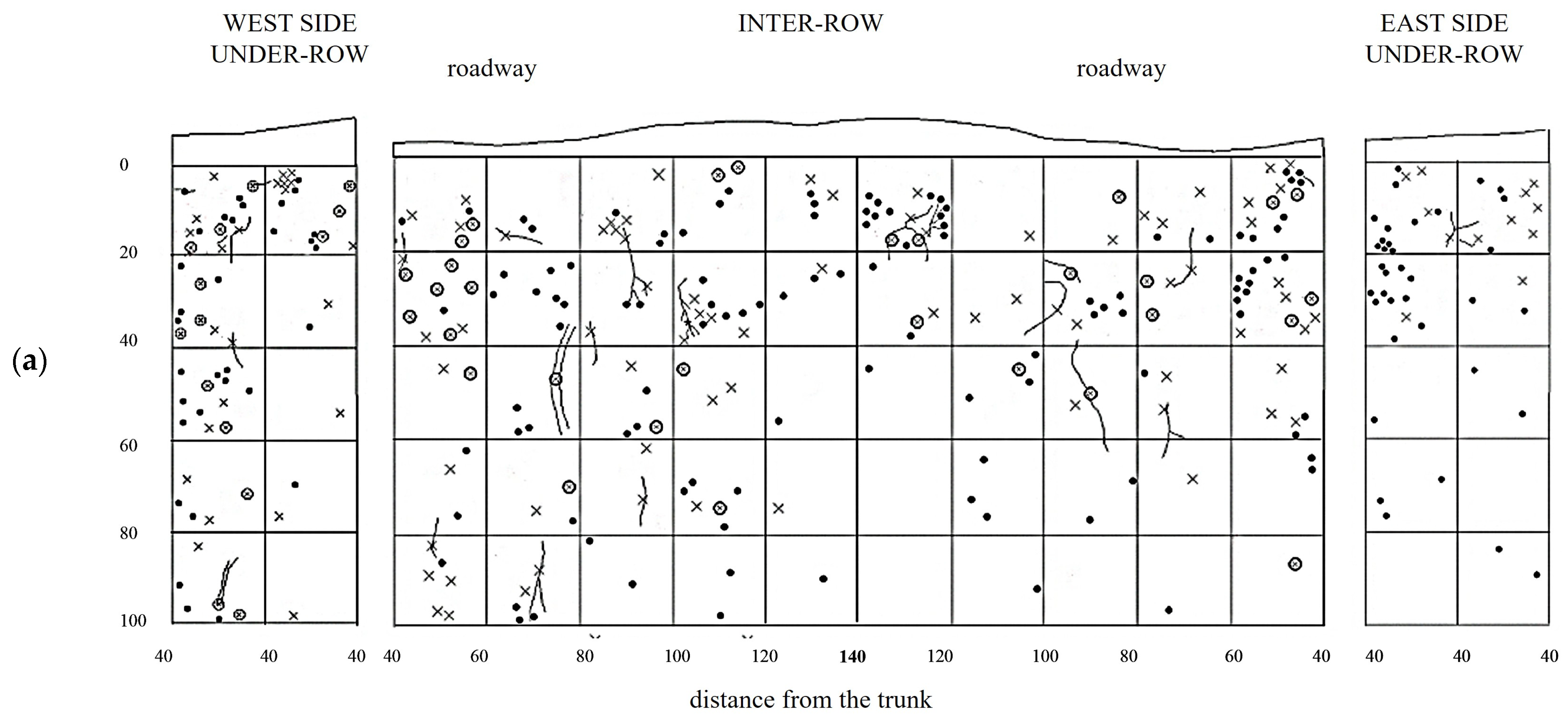 Plants 14 01823 g007a