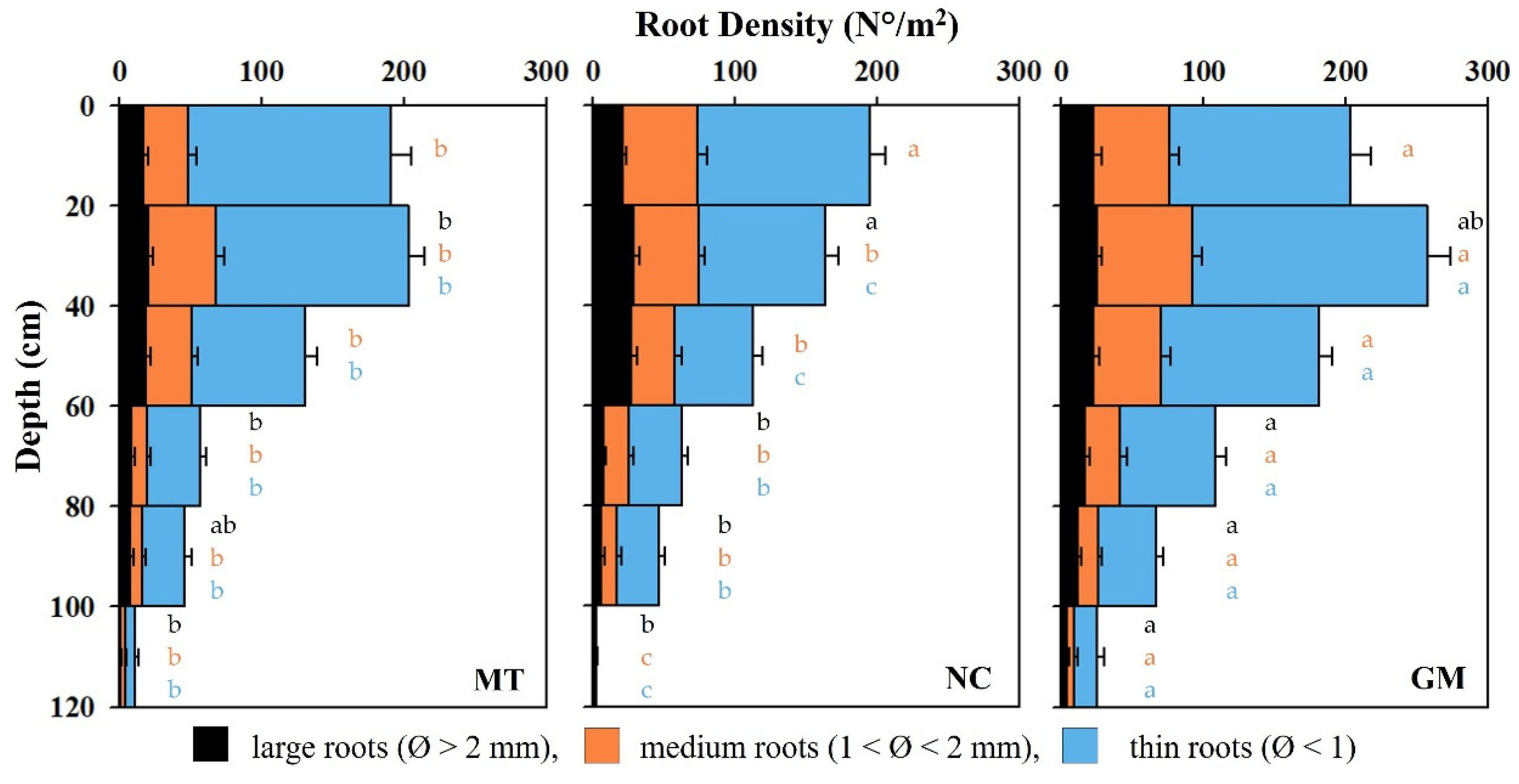 Plants 14 01823 g012