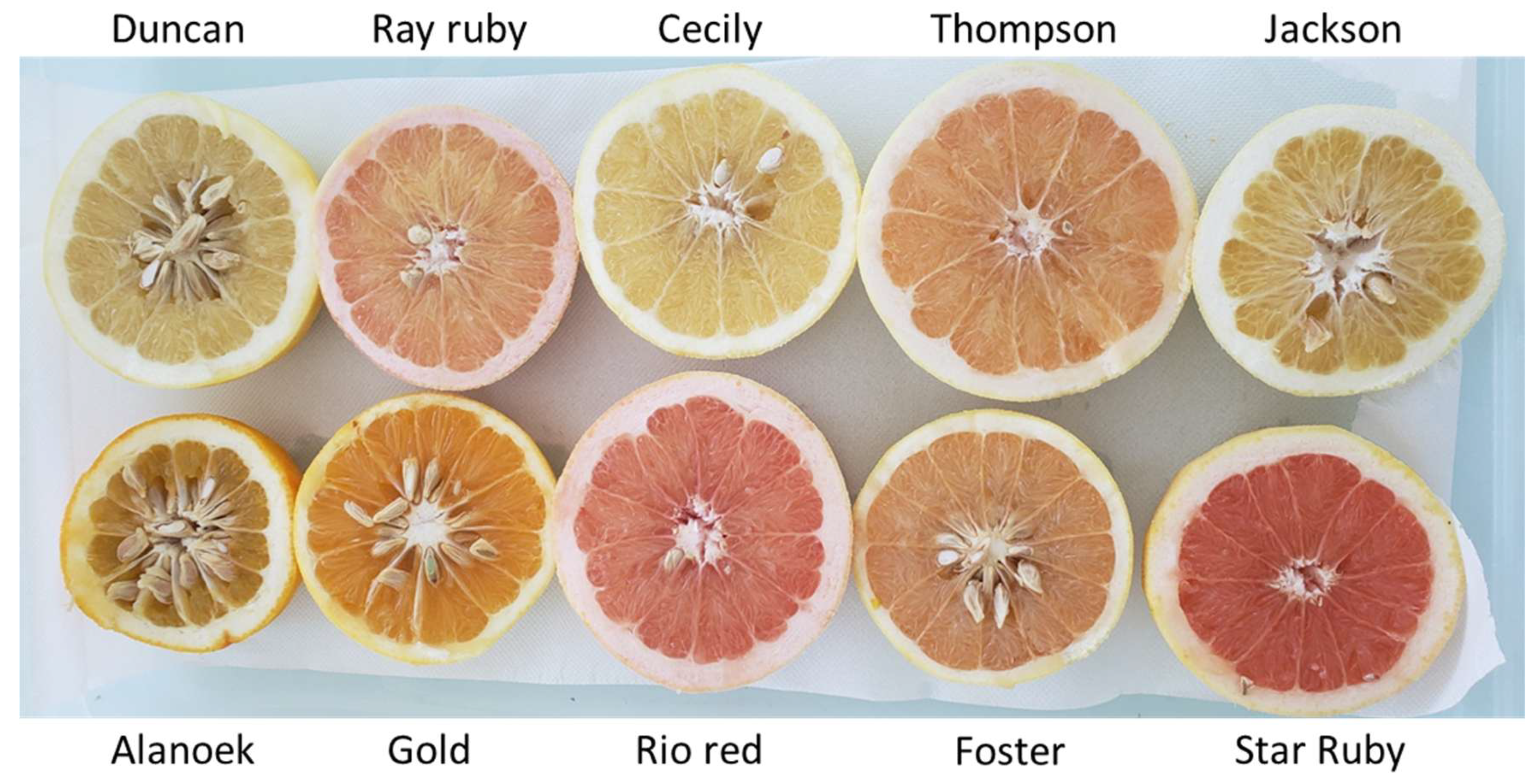 Plants 14 01824 g008