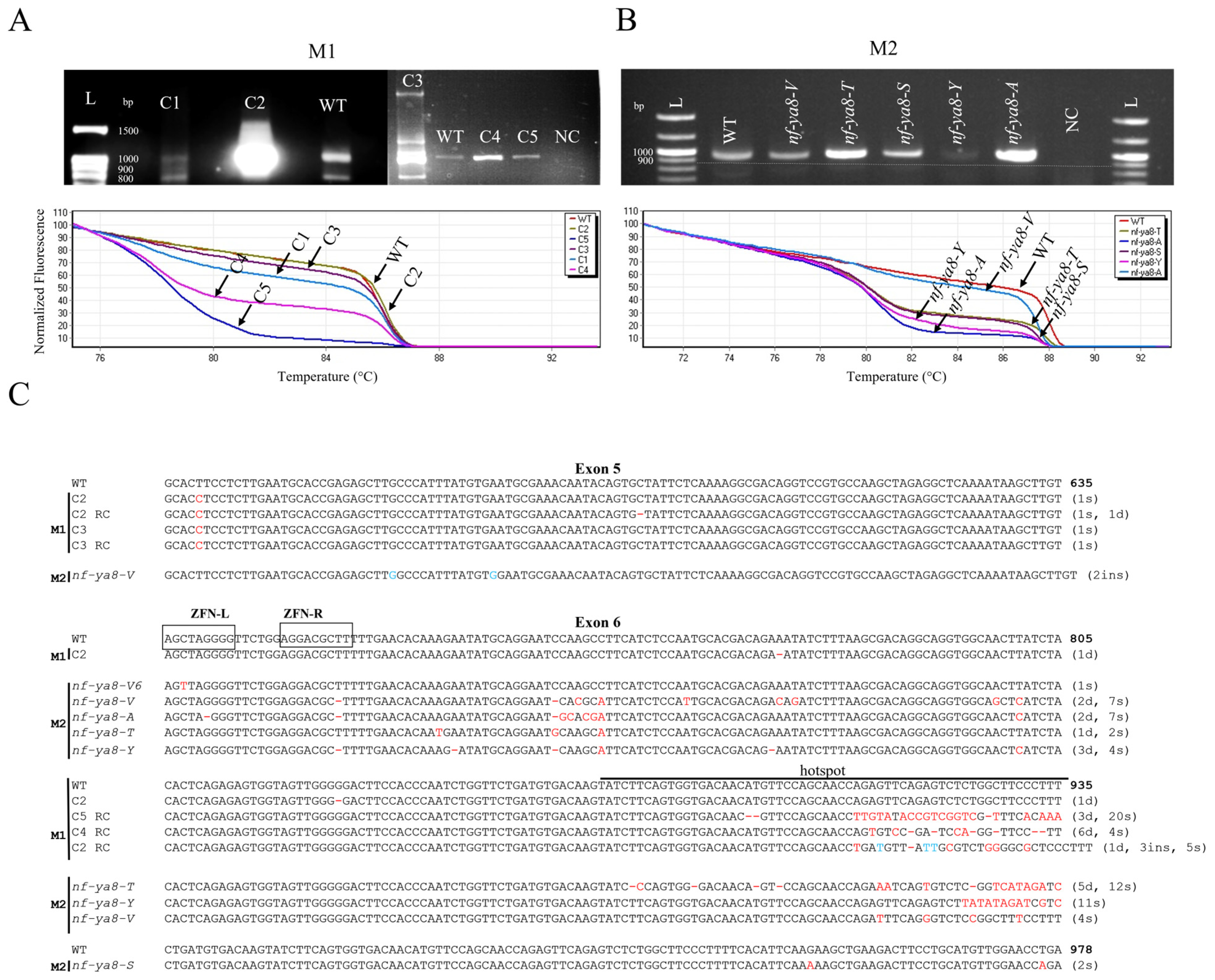 Plants 14 01826 g002