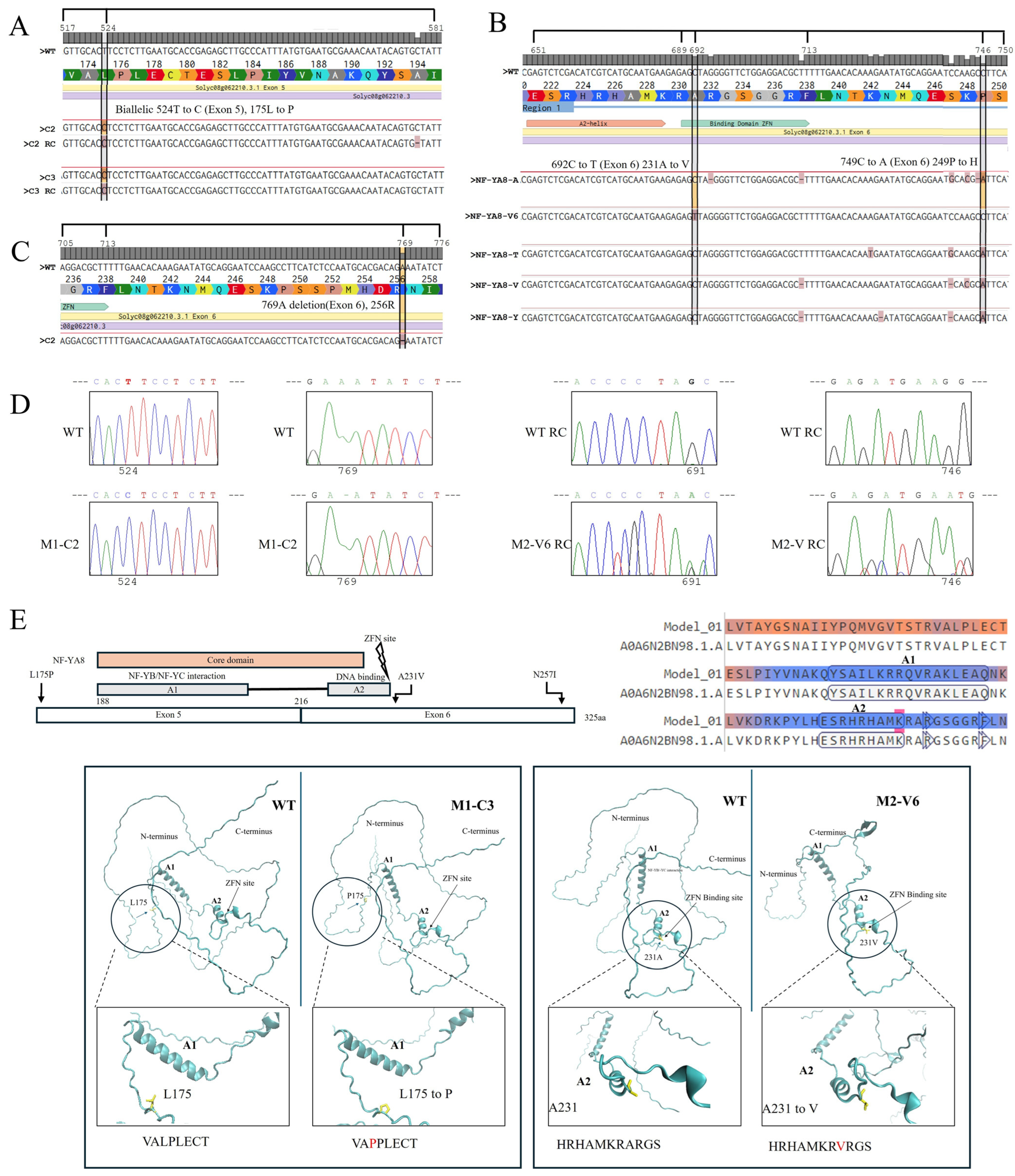 Plants 14 01826 g003