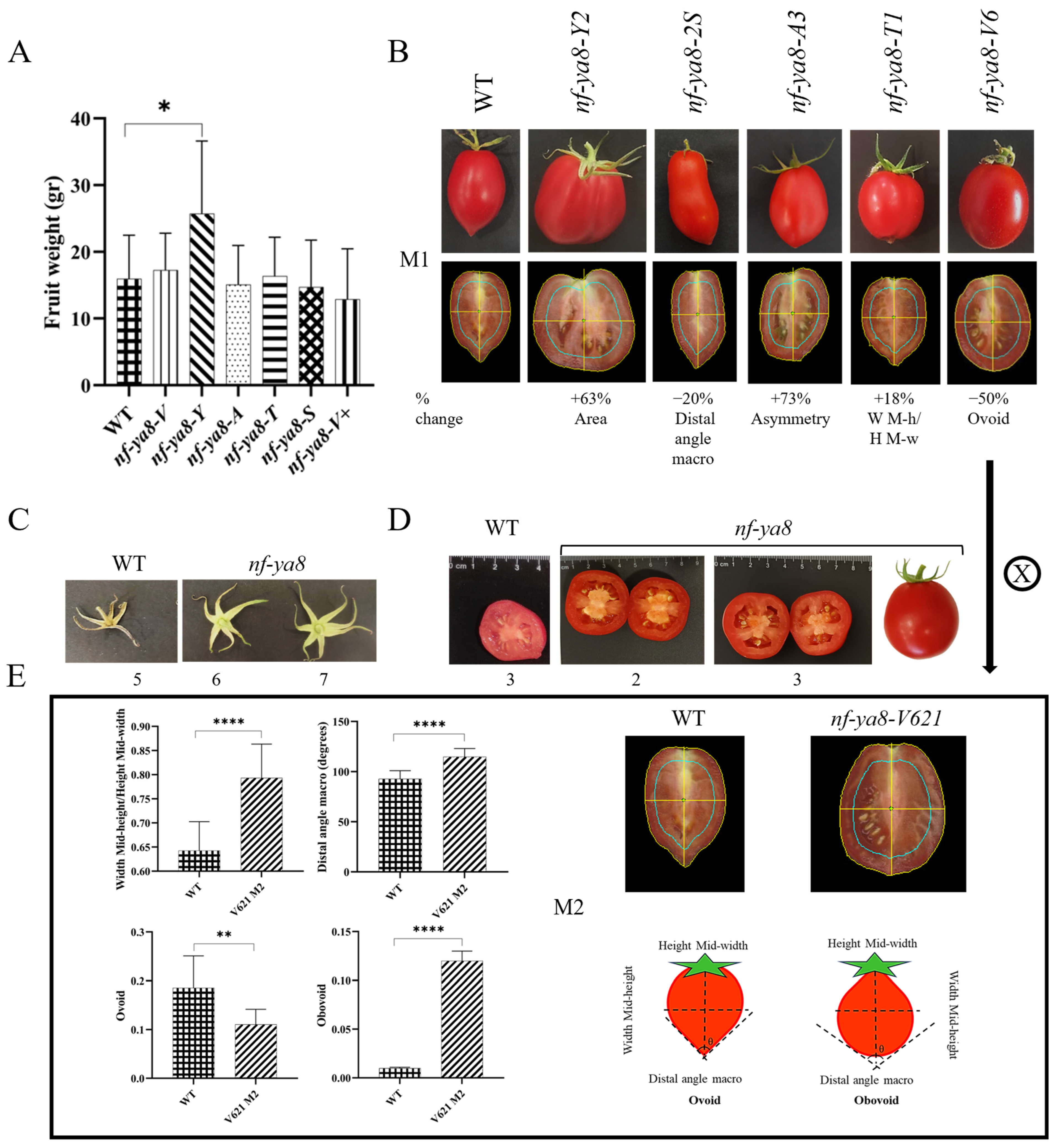 Plants 14 01826 g007