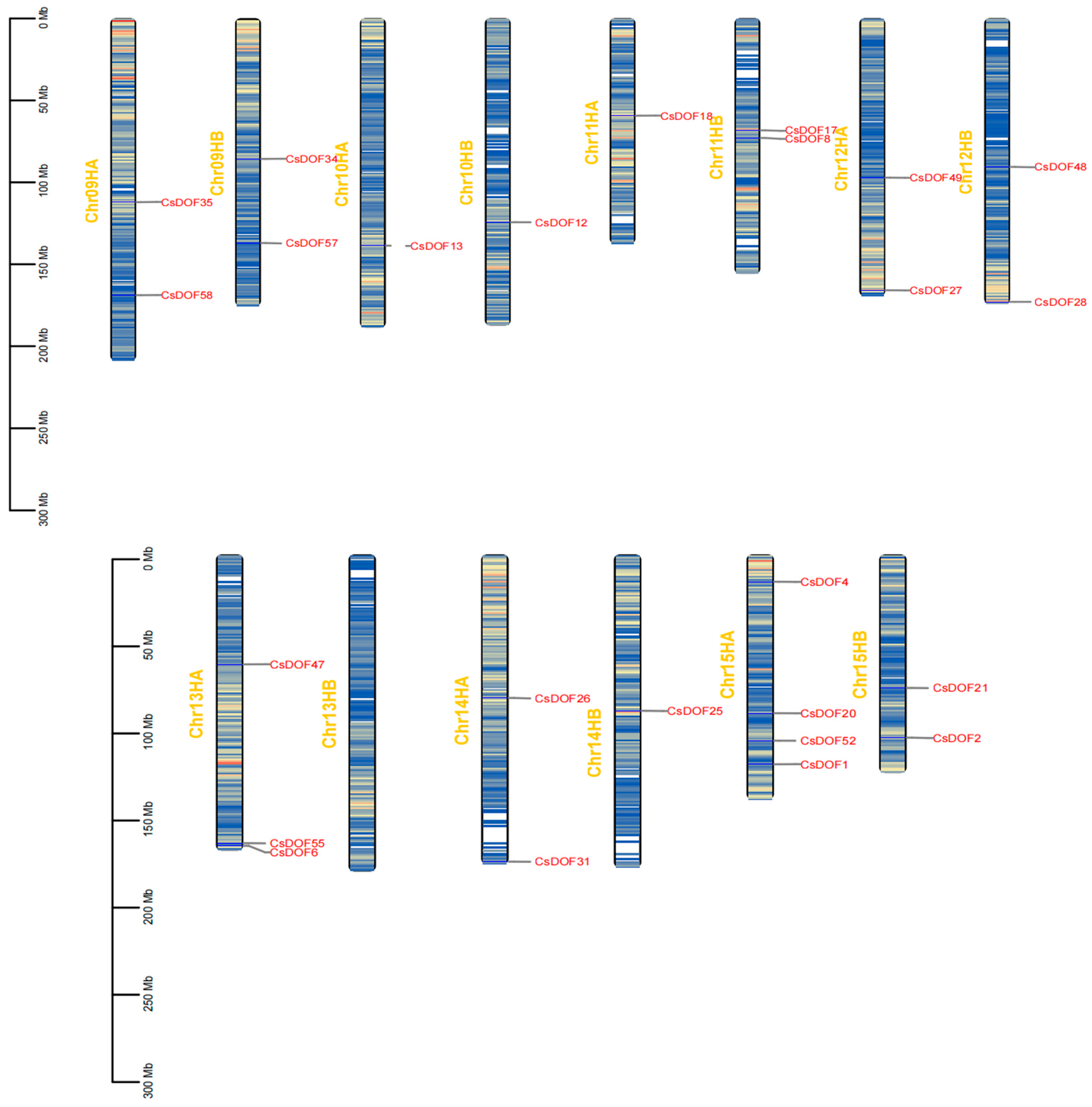 Plants 14 01829 g001b