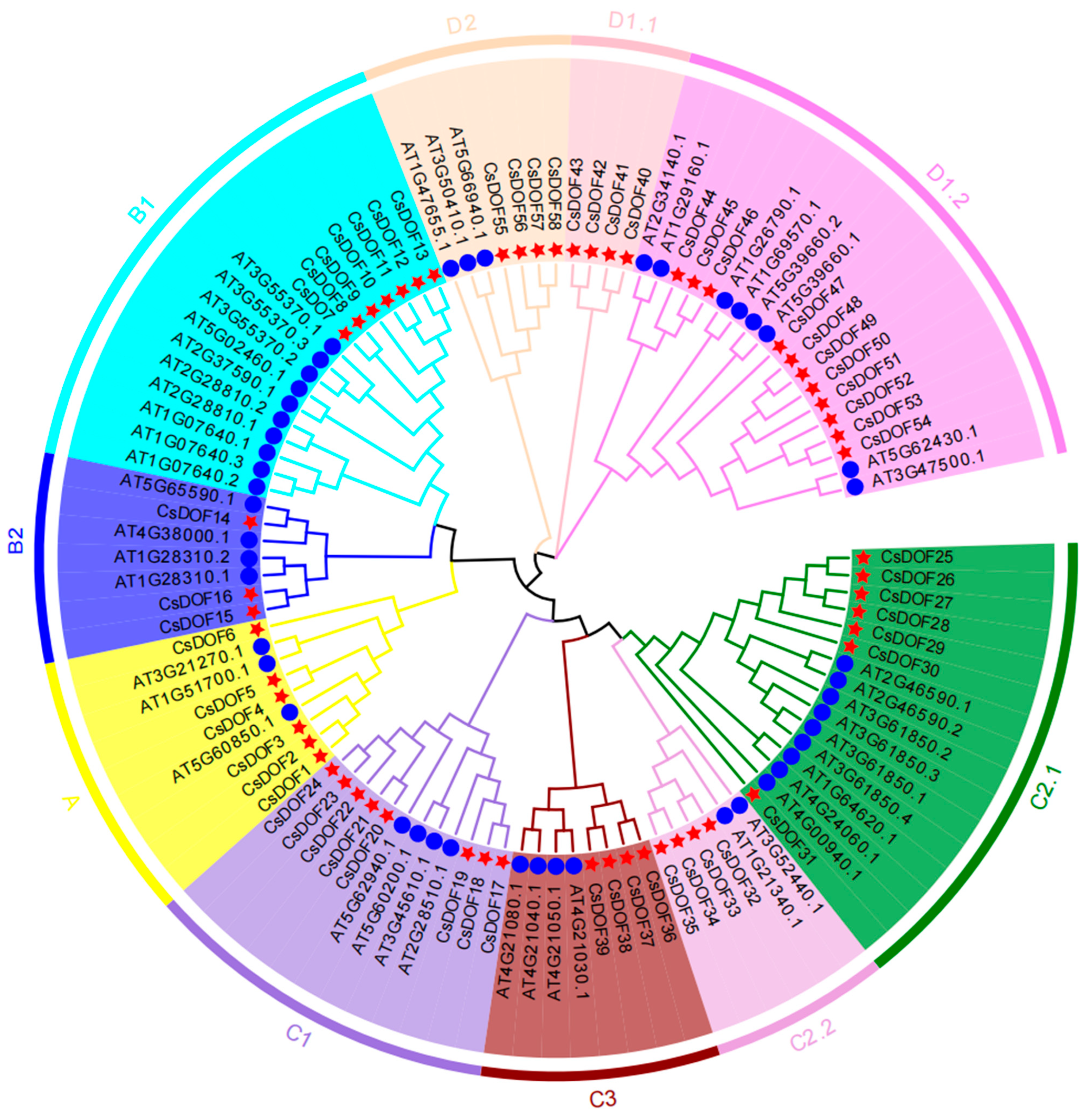 Plants 14 01829 g002