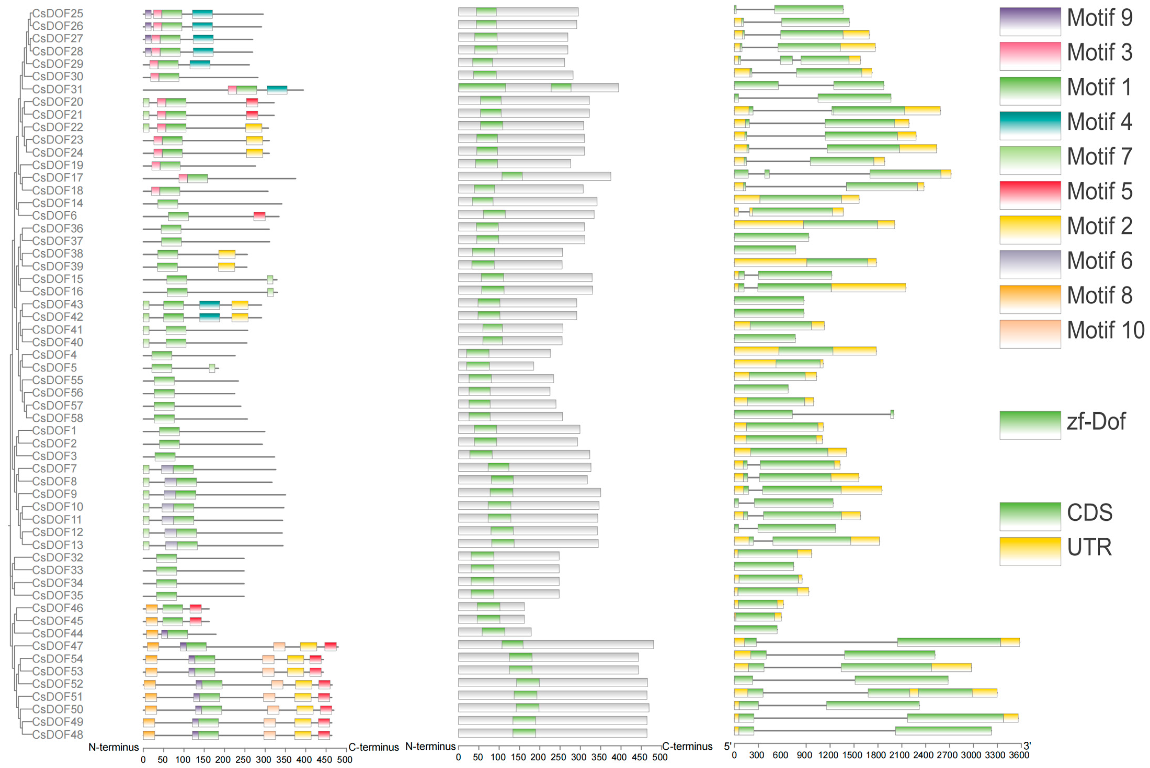 Plants 14 01829 g003