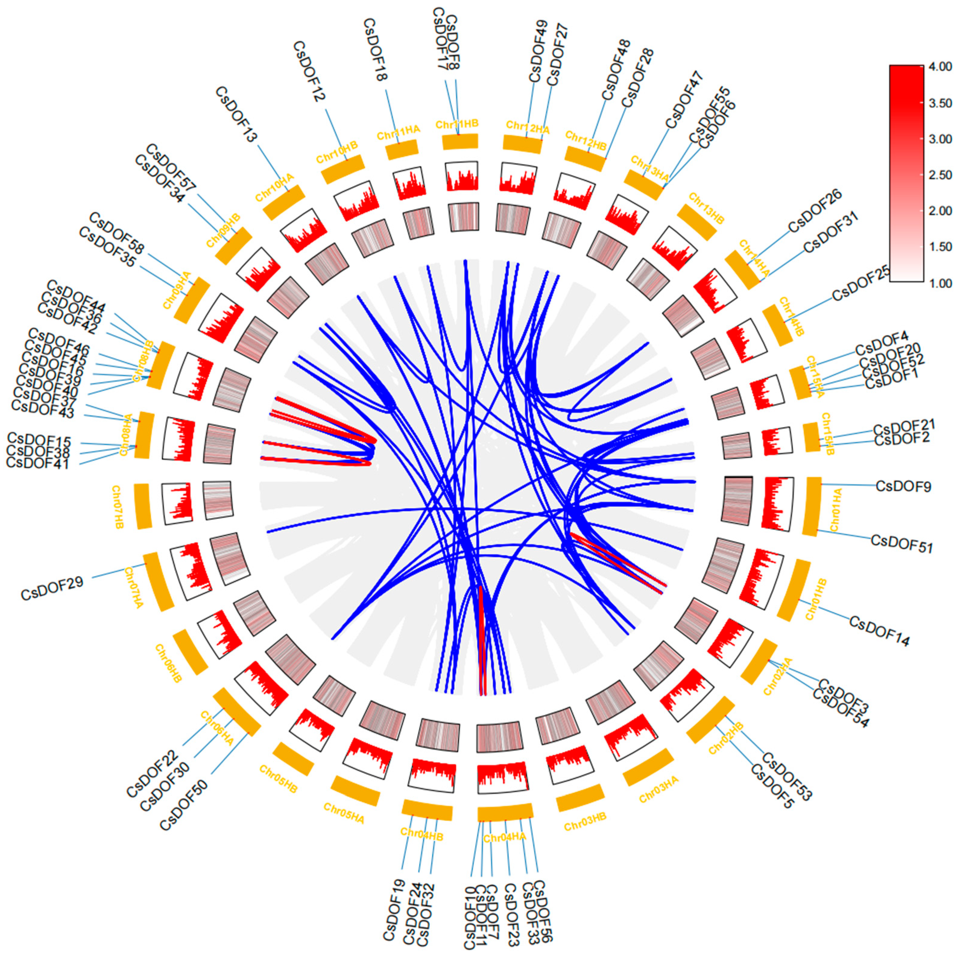 Plants 14 01829 g004