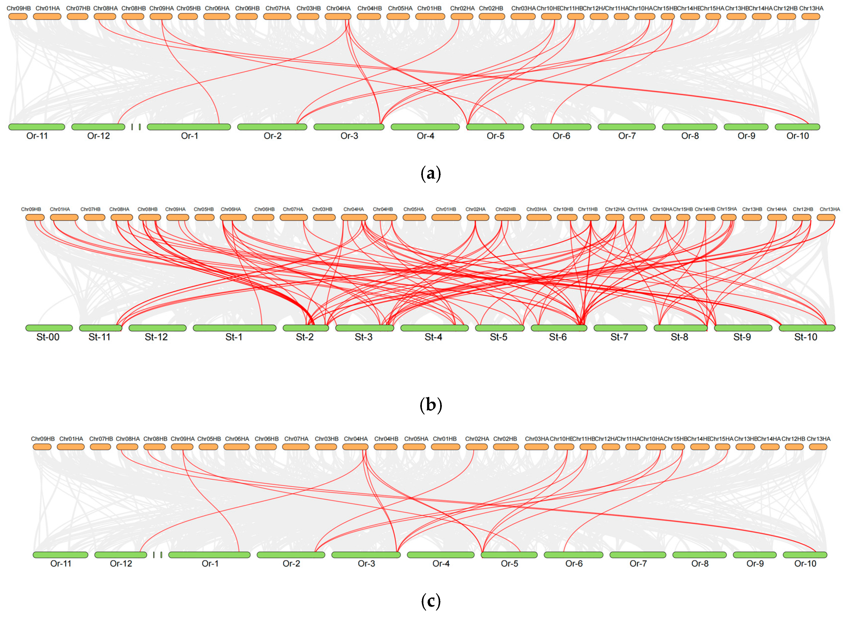 Plants 14 01829 g005
