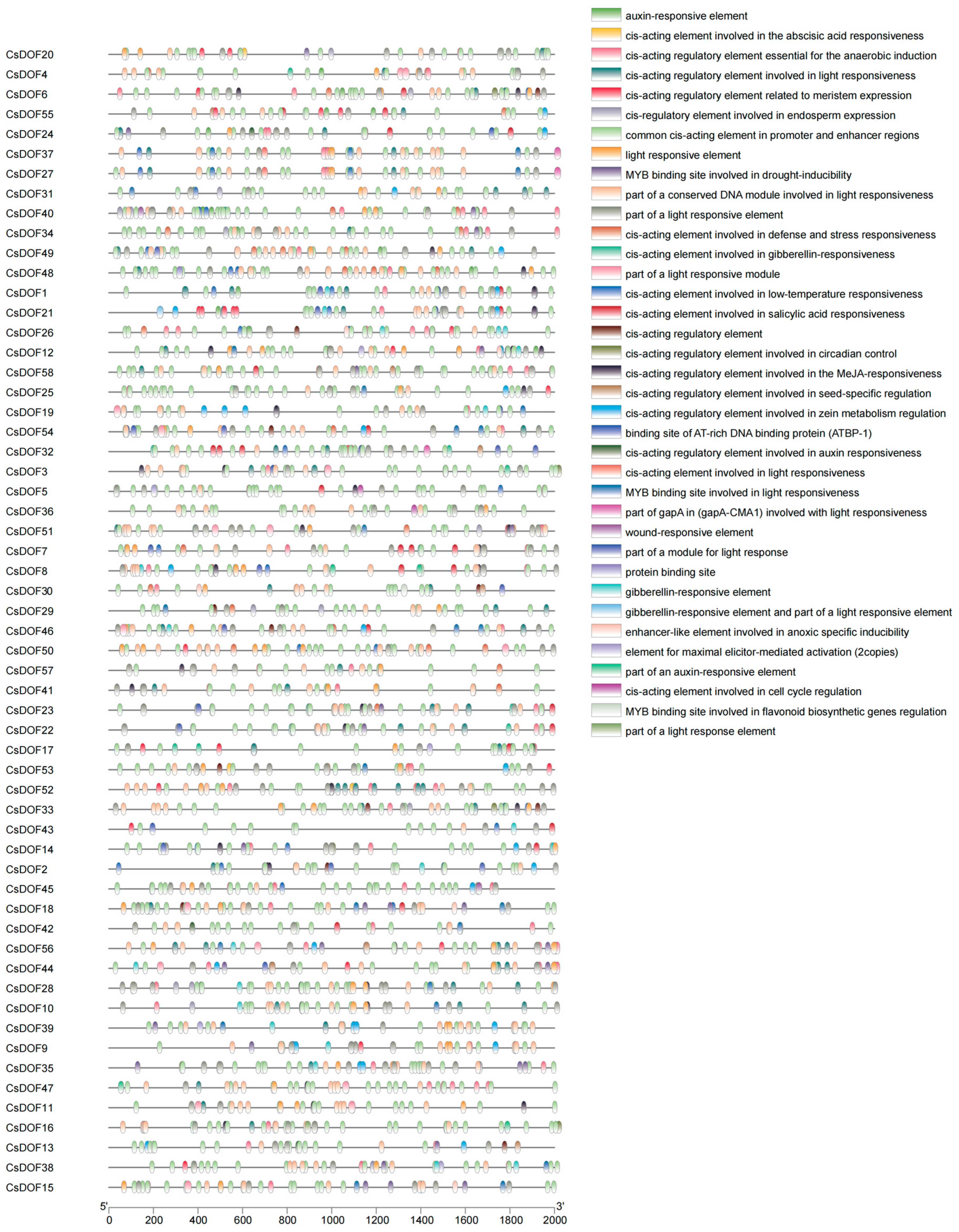 Plants 14 01829 g006