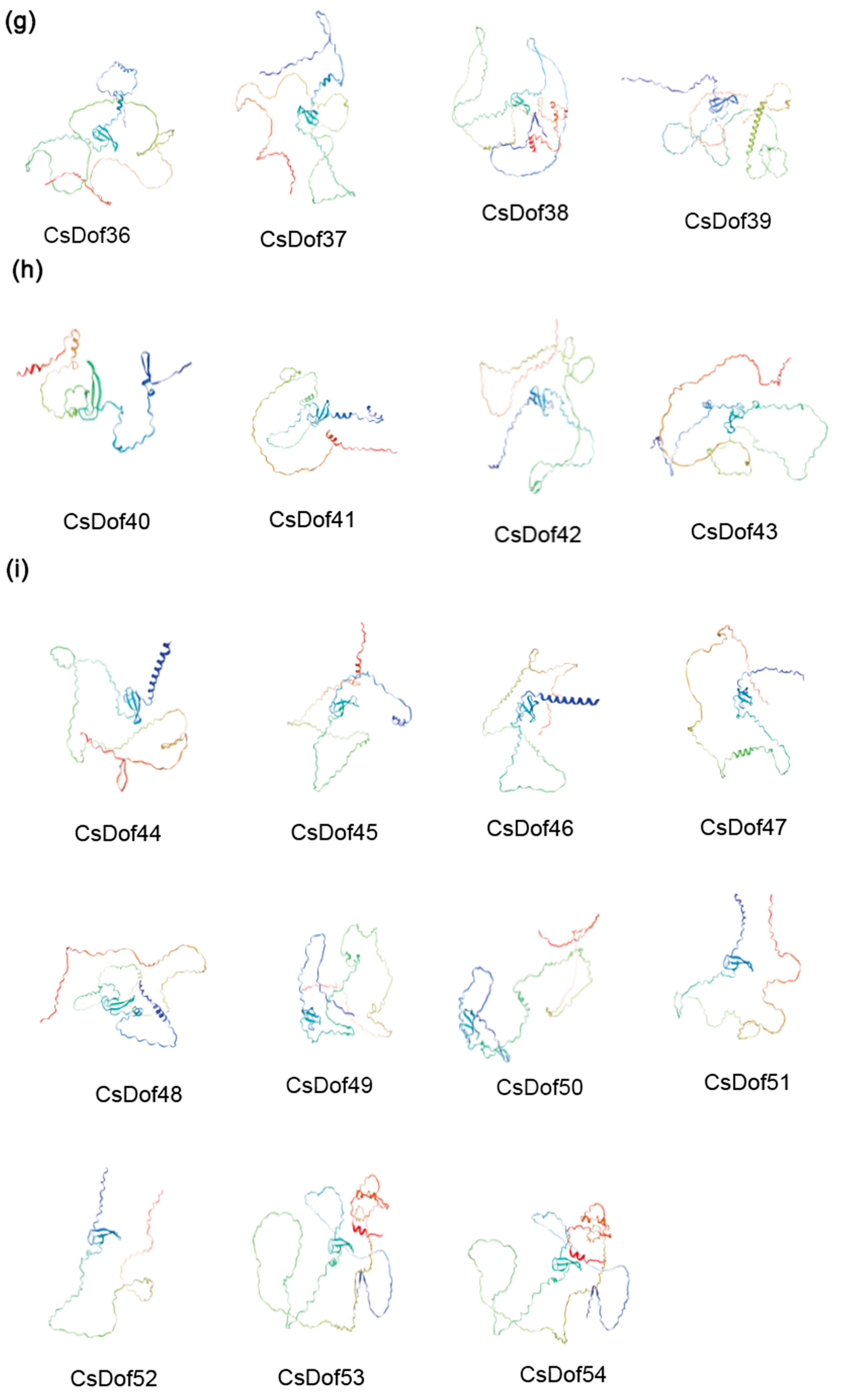 Plants 14 01829 g008c
