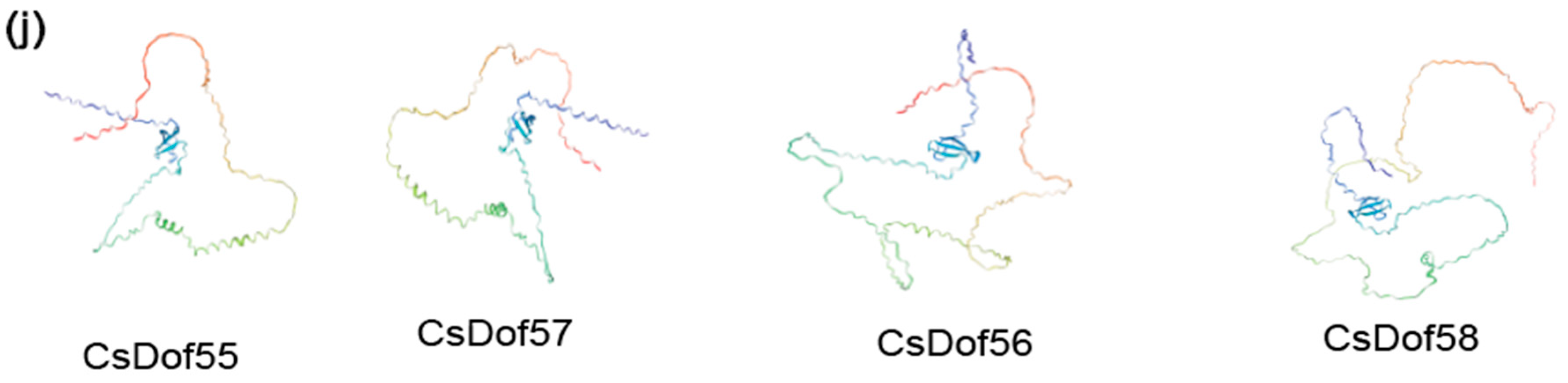 Plants 14 01829 g008d