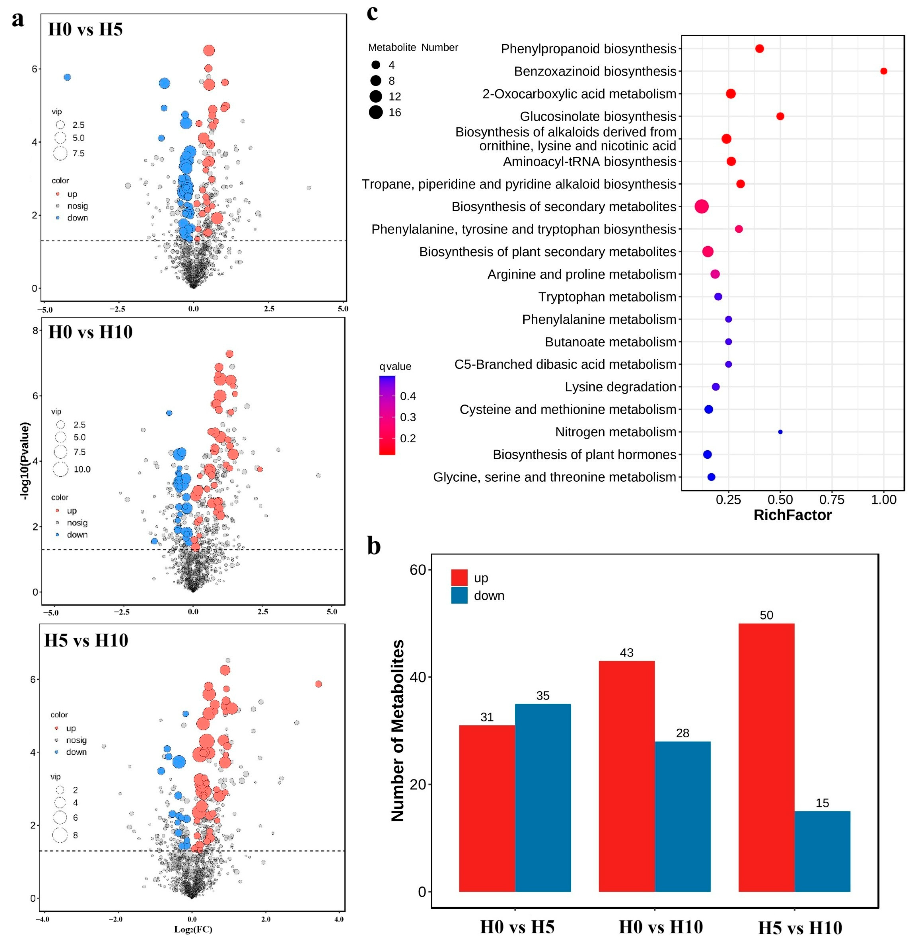 Plants 14 01841 g002