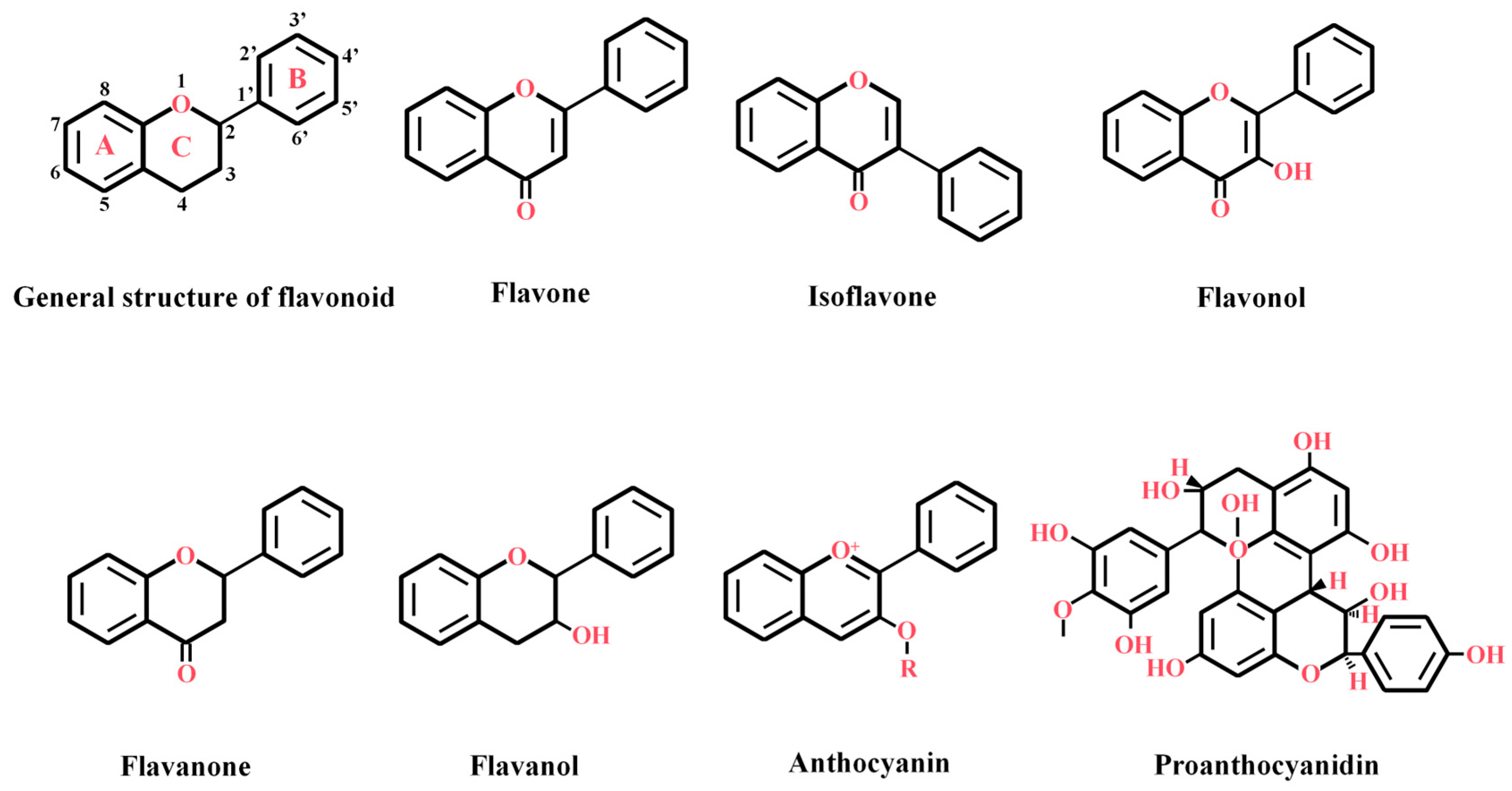 Plants 14 01847 g001