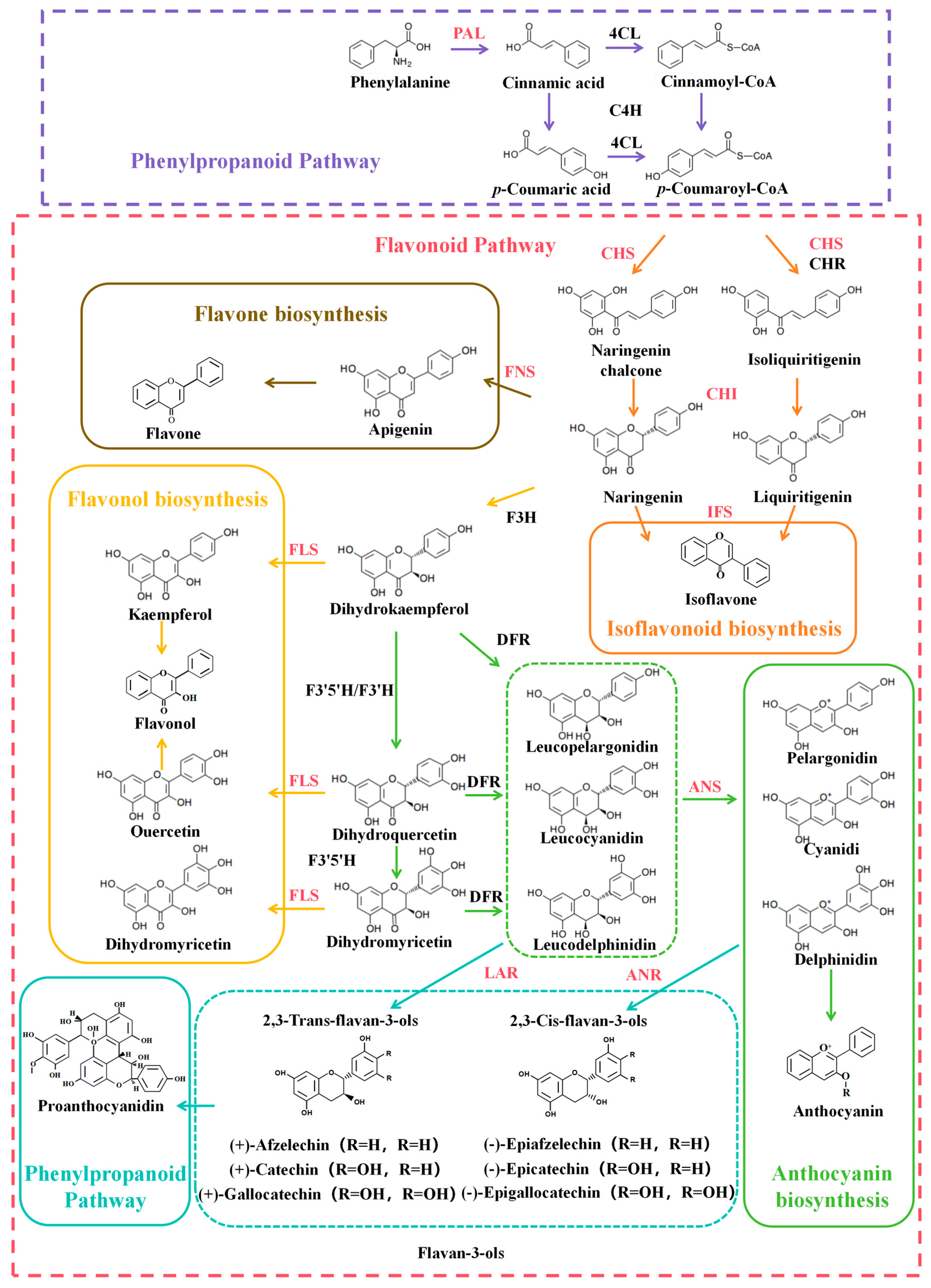 Plants 14 01847 g002