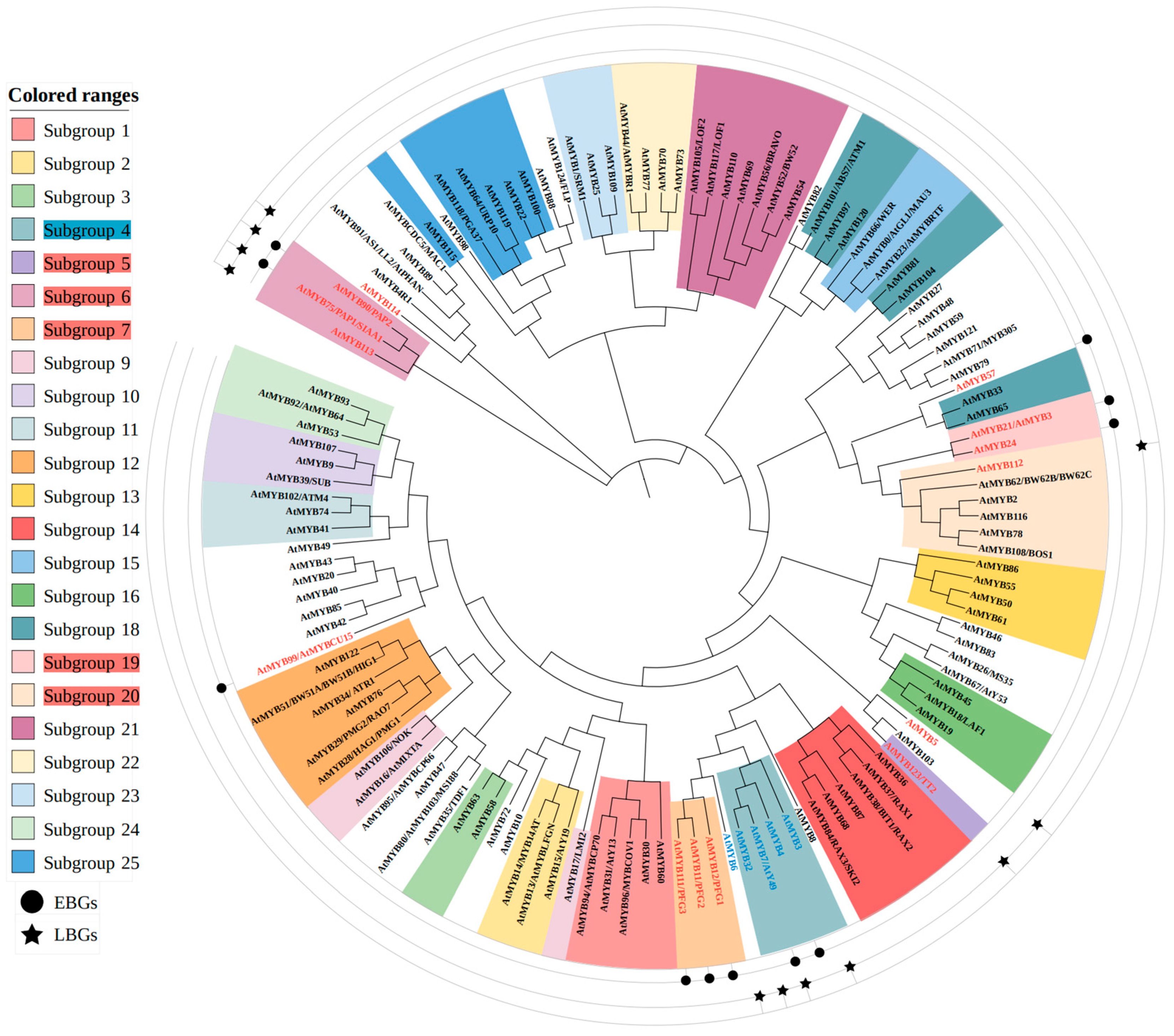 Plants 14 01847 g003