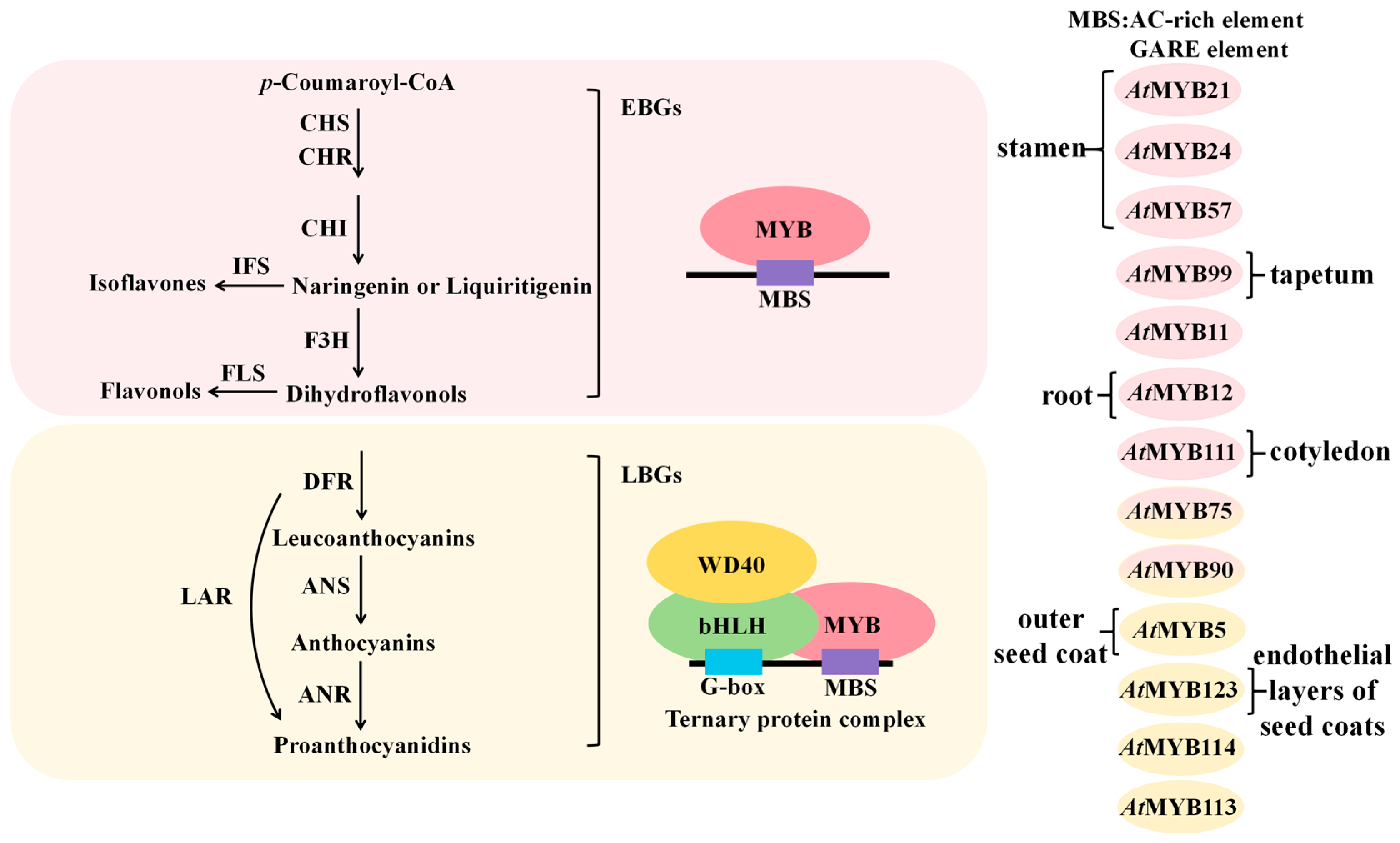 Plants 14 01847 g004