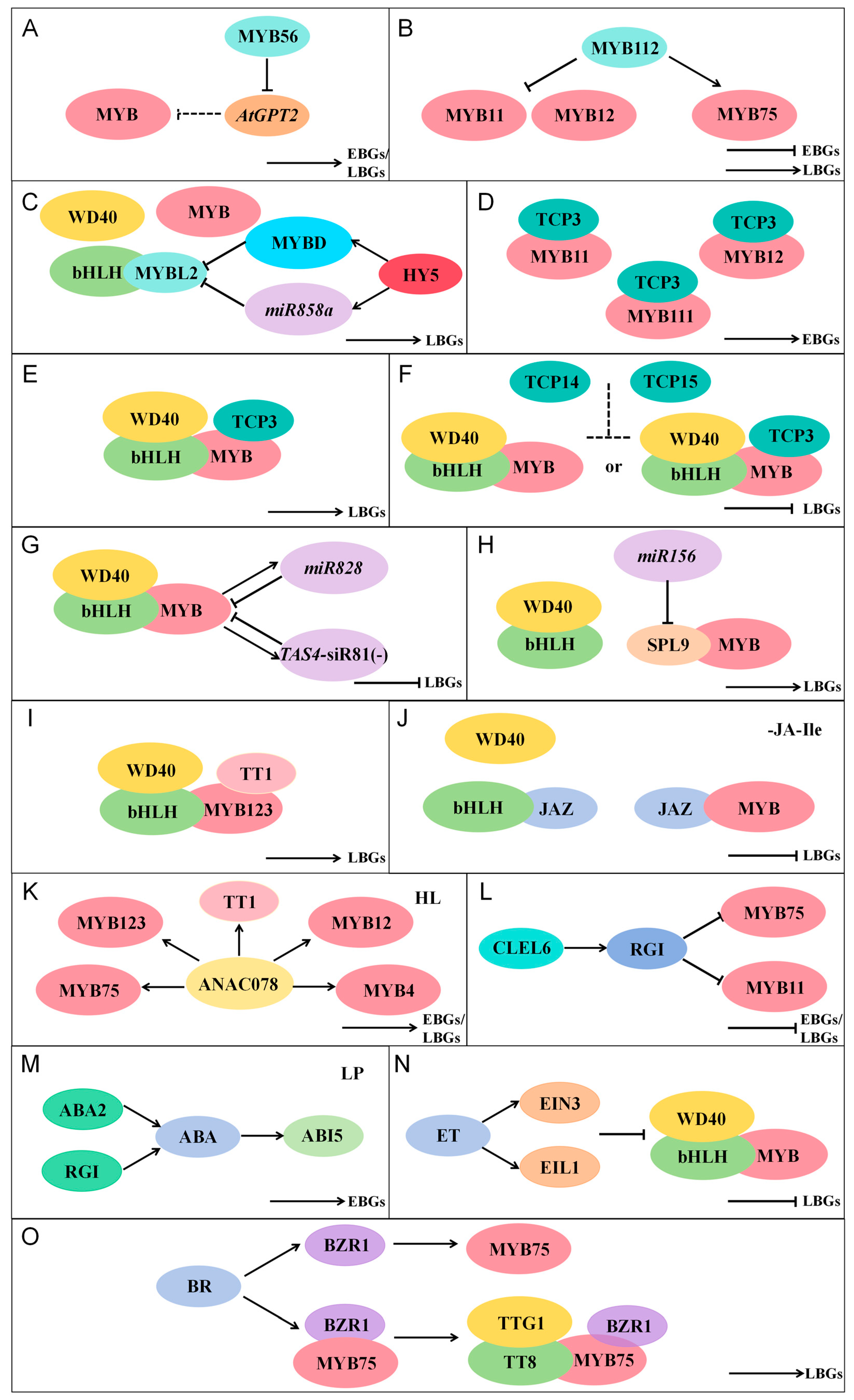 Plants 14 01847 g005