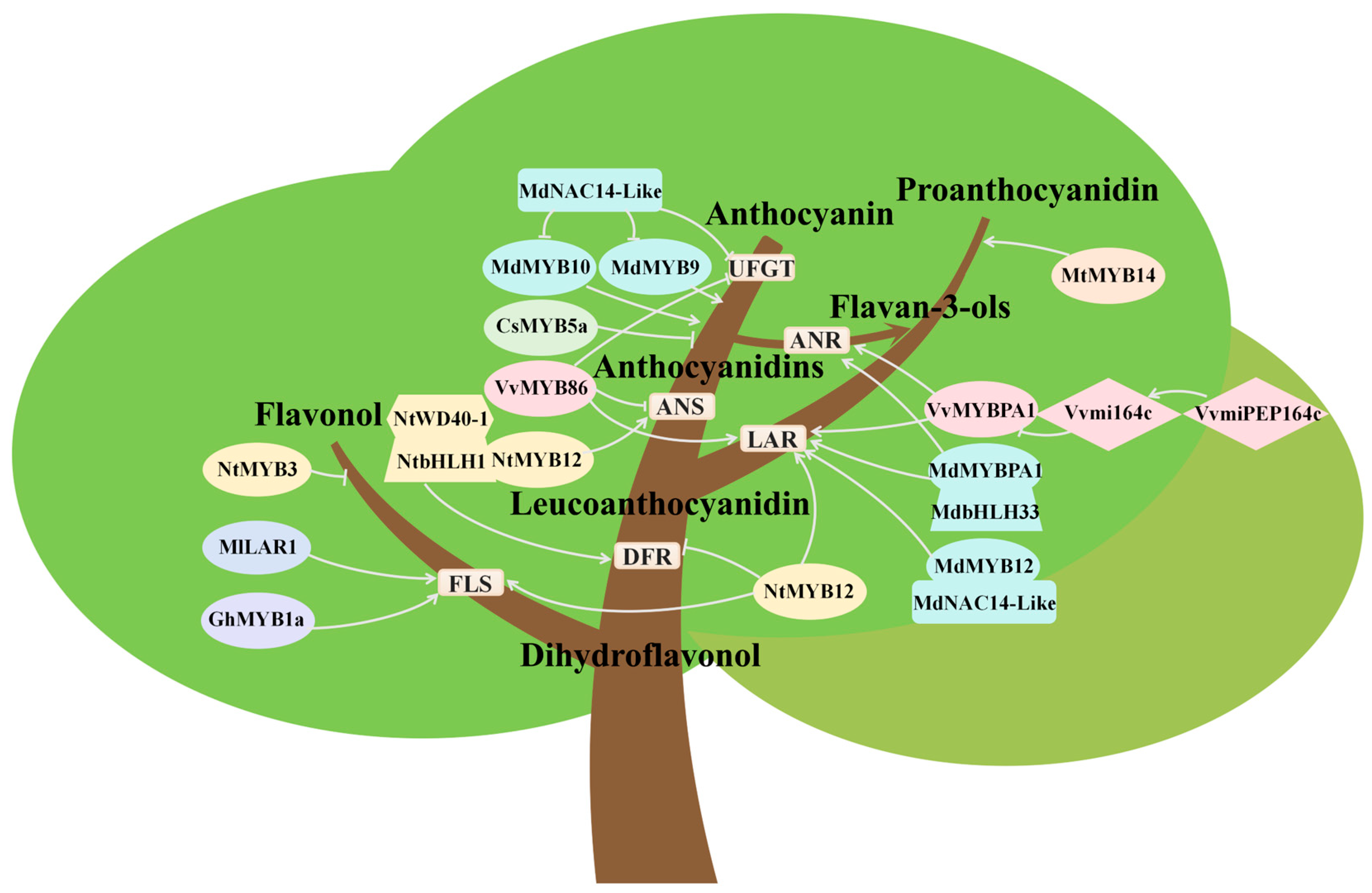 Plants 14 01847 g006