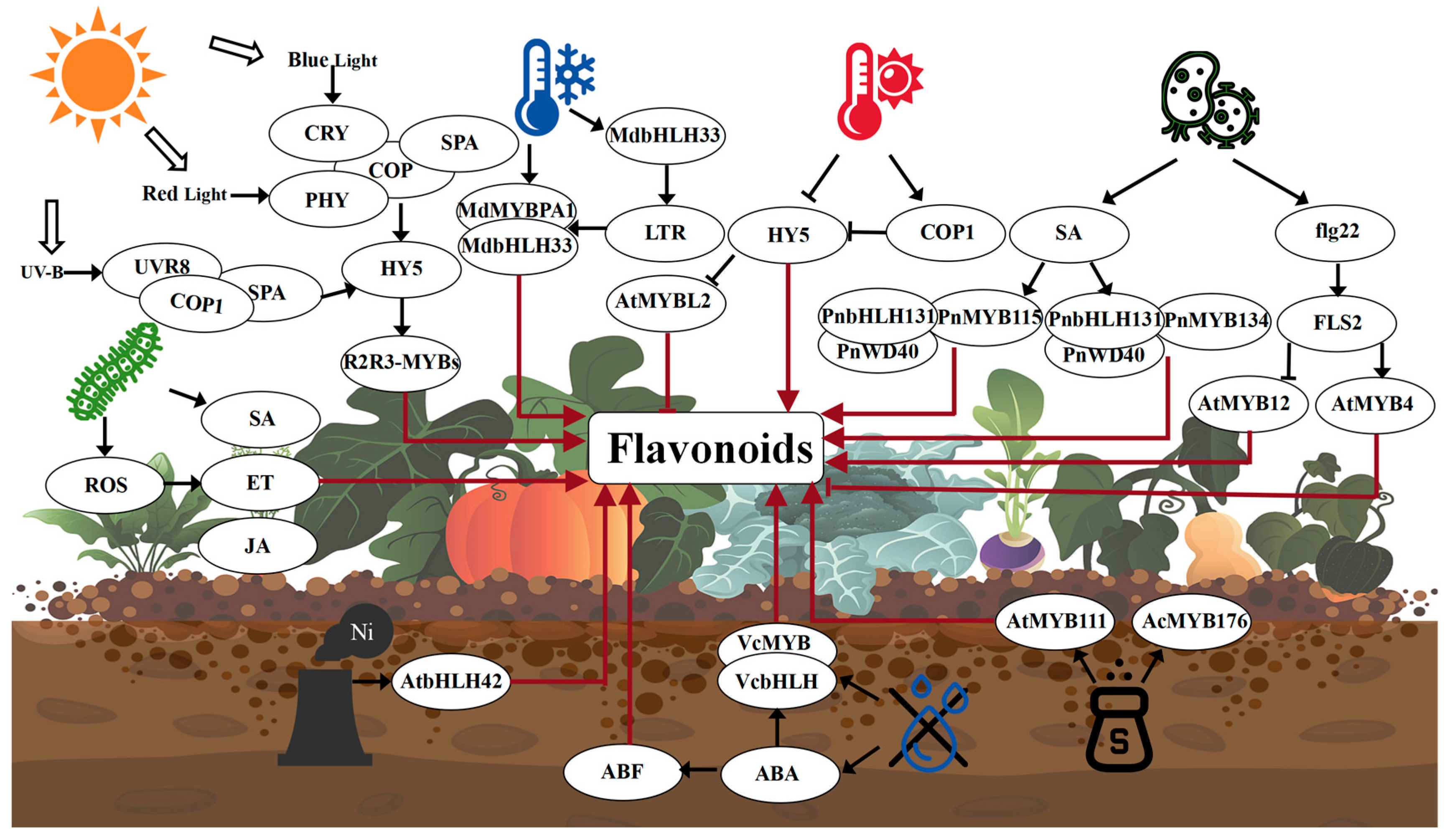 Plants 14 01847 g007
