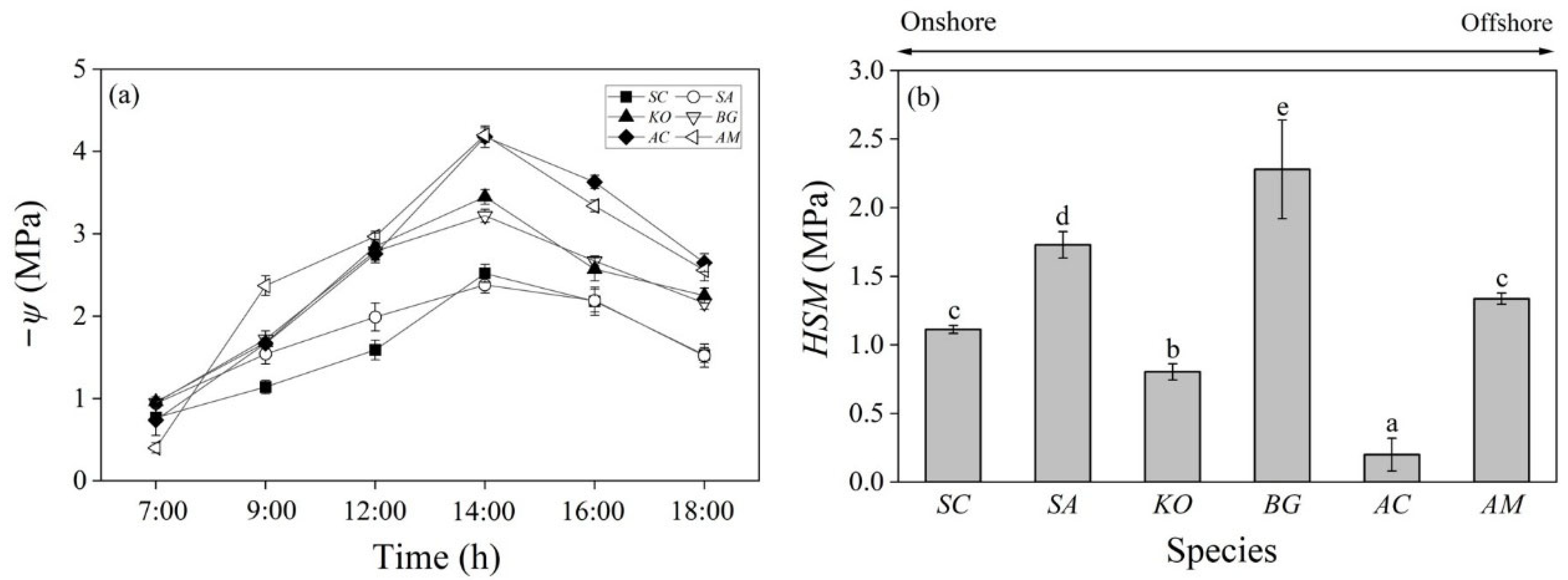 Plants 14 01850 g002