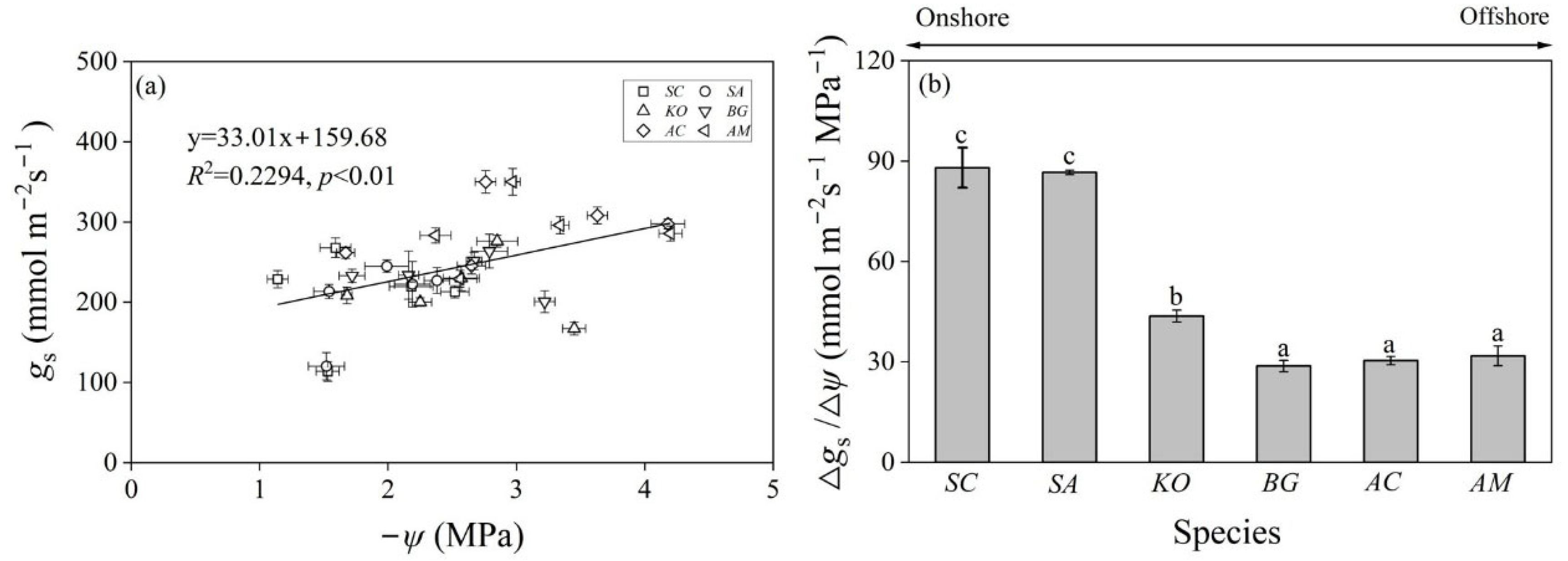 Plants 14 01850 g004