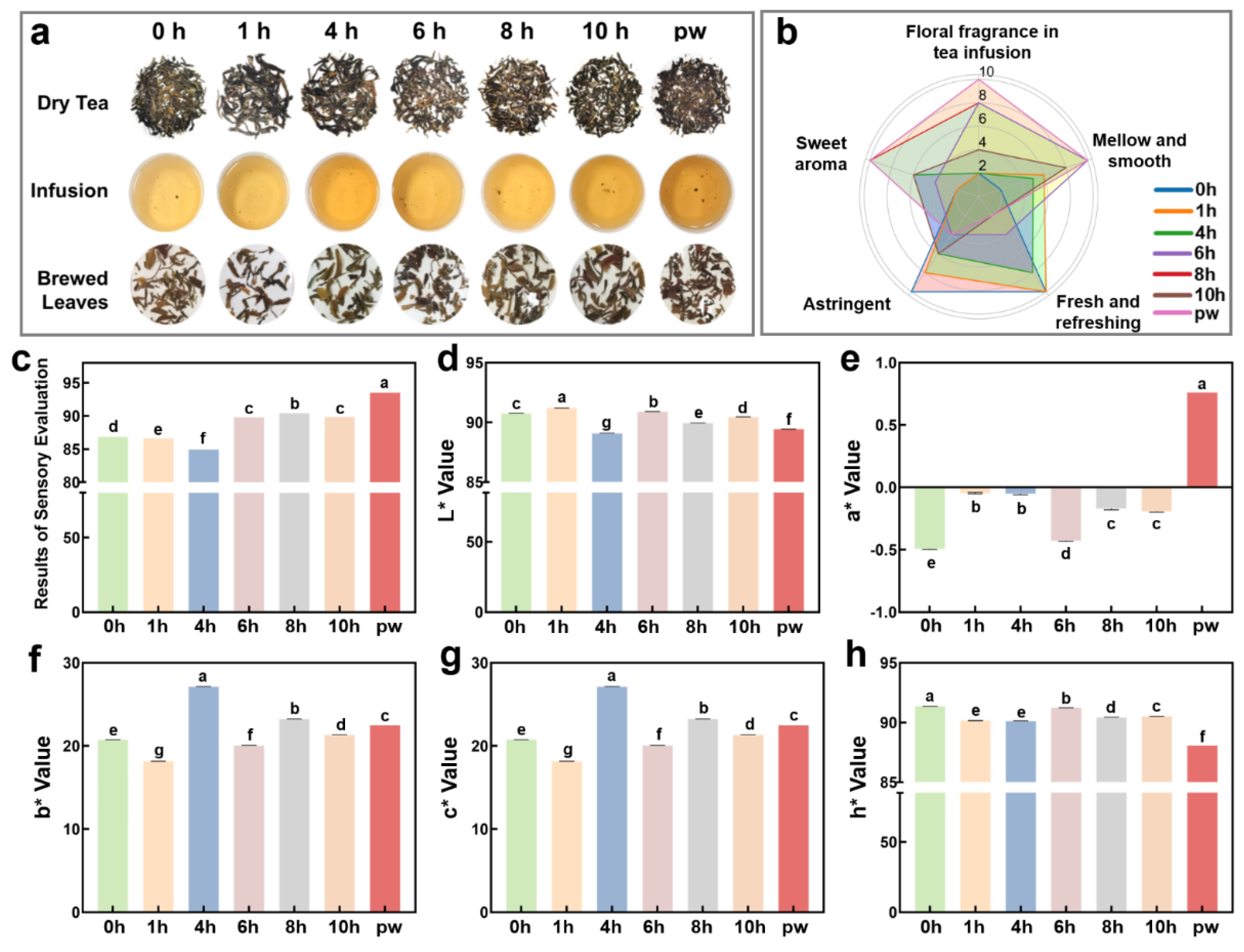 Plants 14 01851 g001