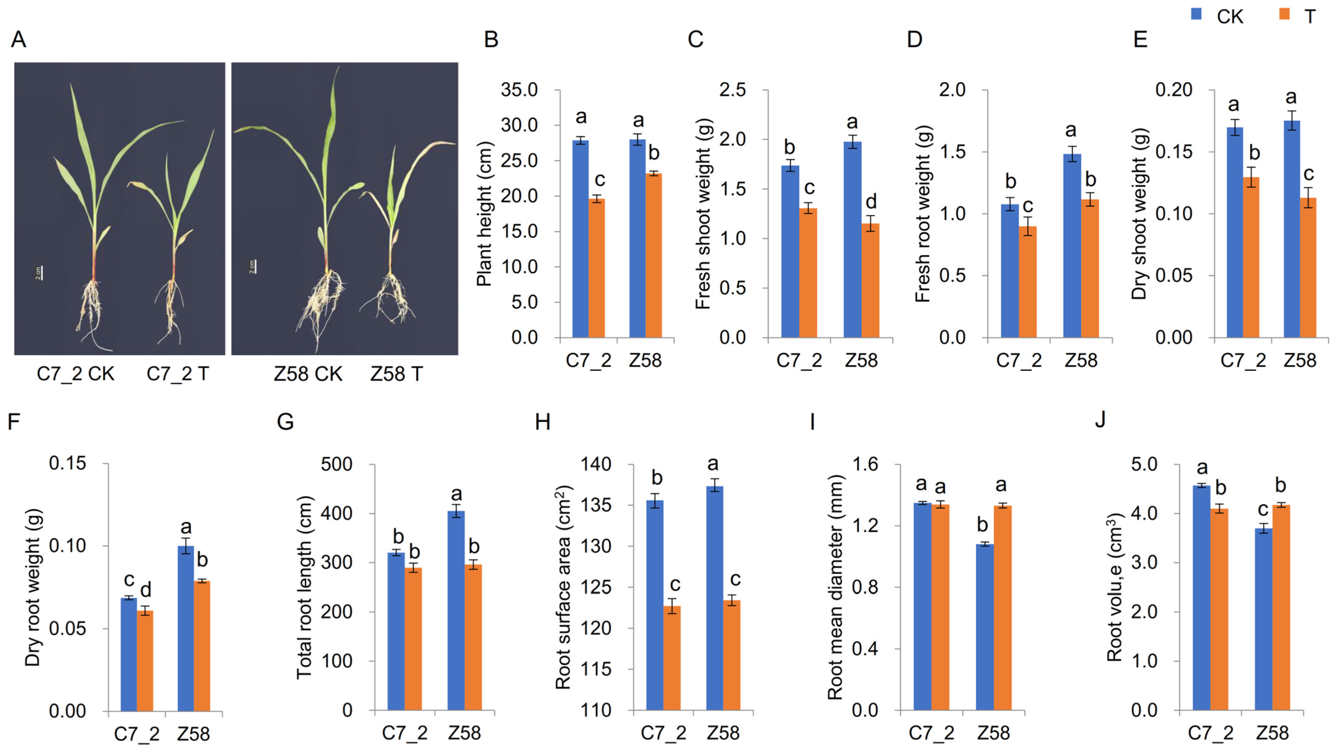 Plants 14 01853 g001