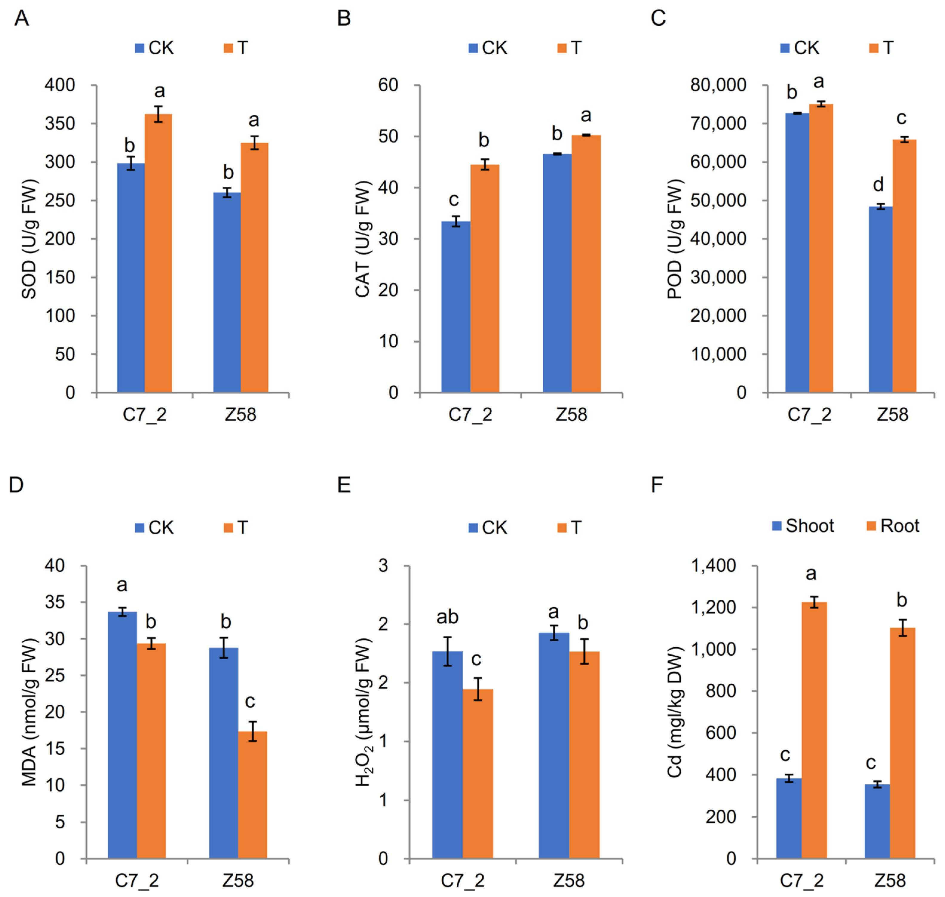 Plants 14 01853 g002