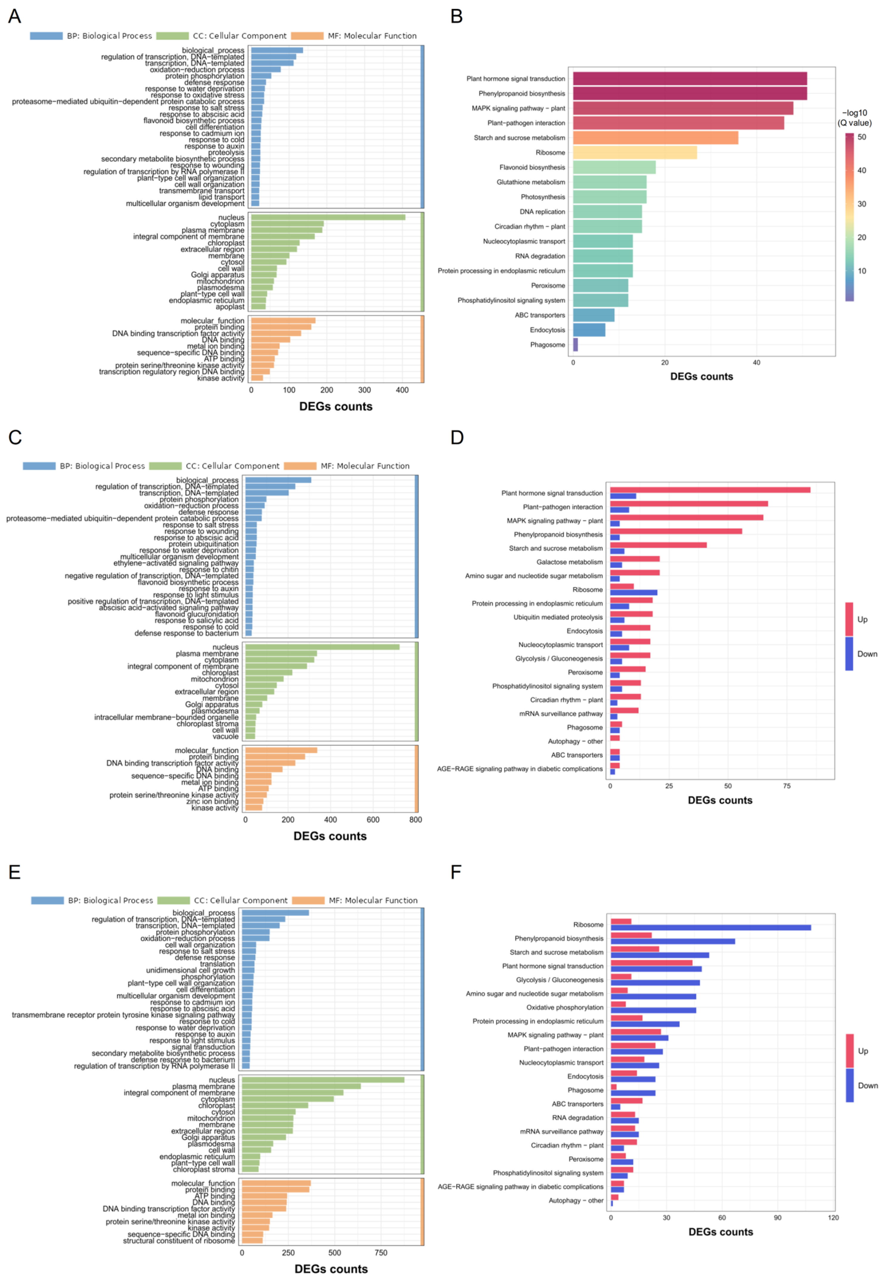 Plants 14 01853 g004