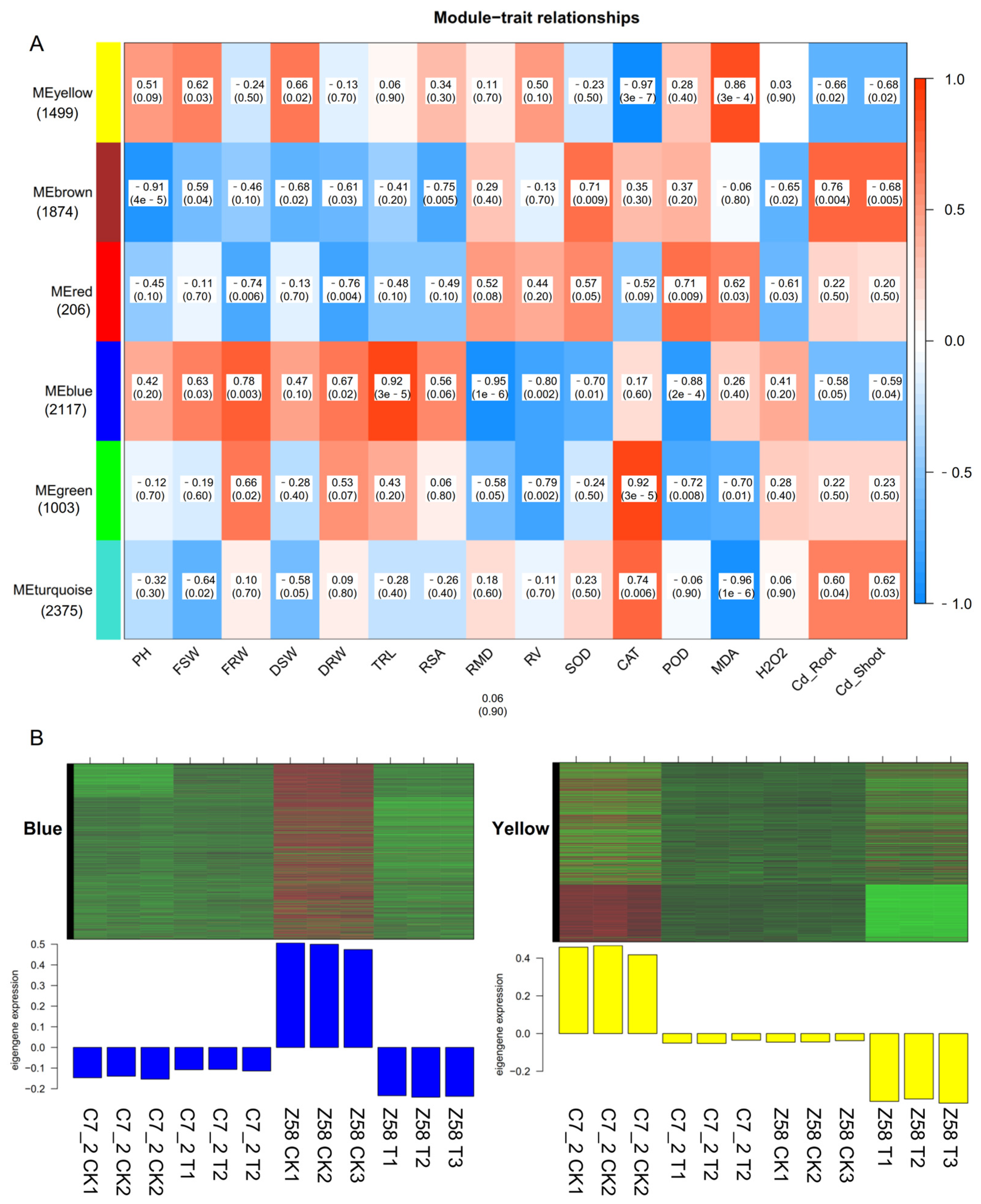 Plants 14 01853 g005