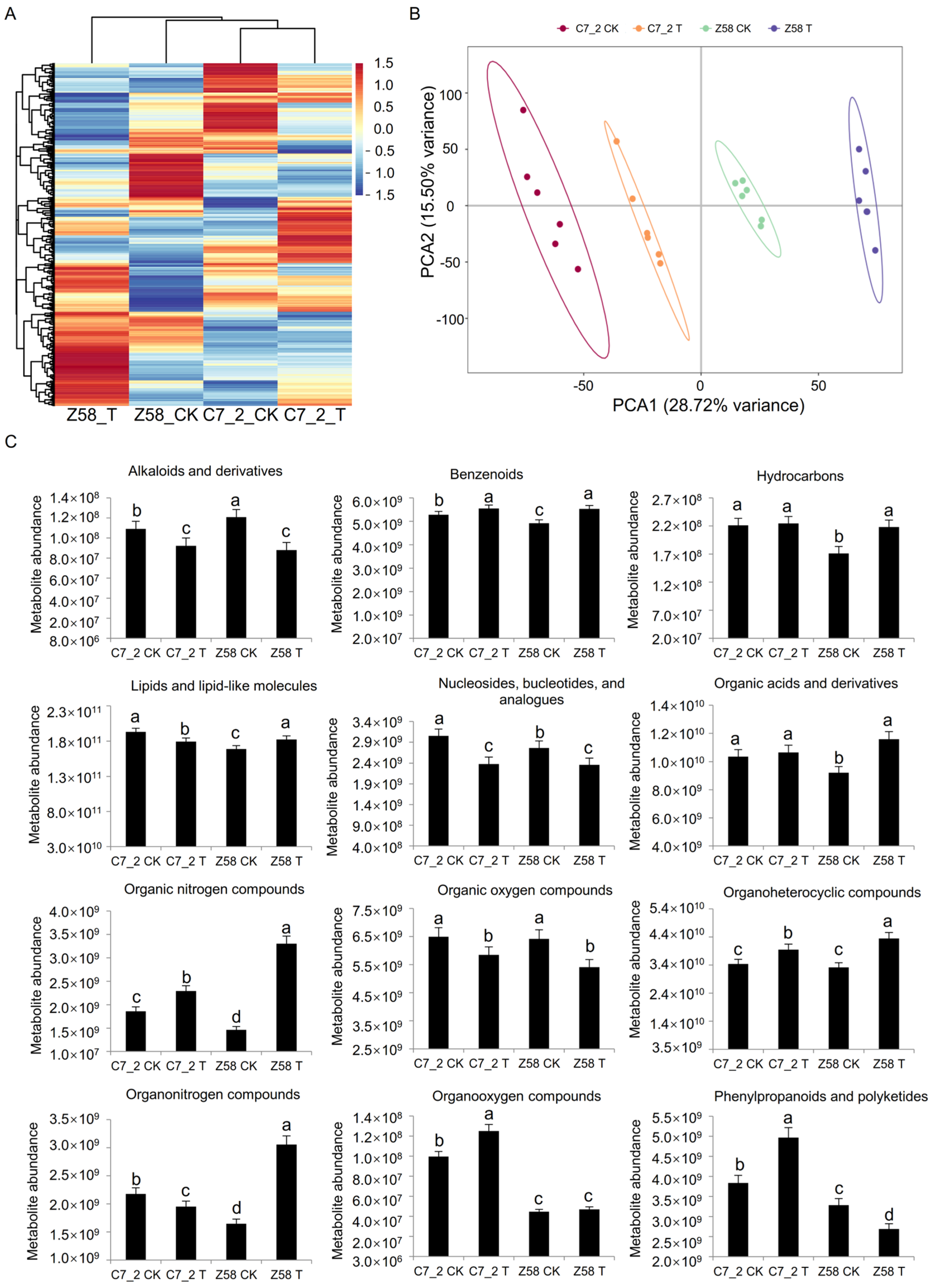 Plants 14 01853 g006