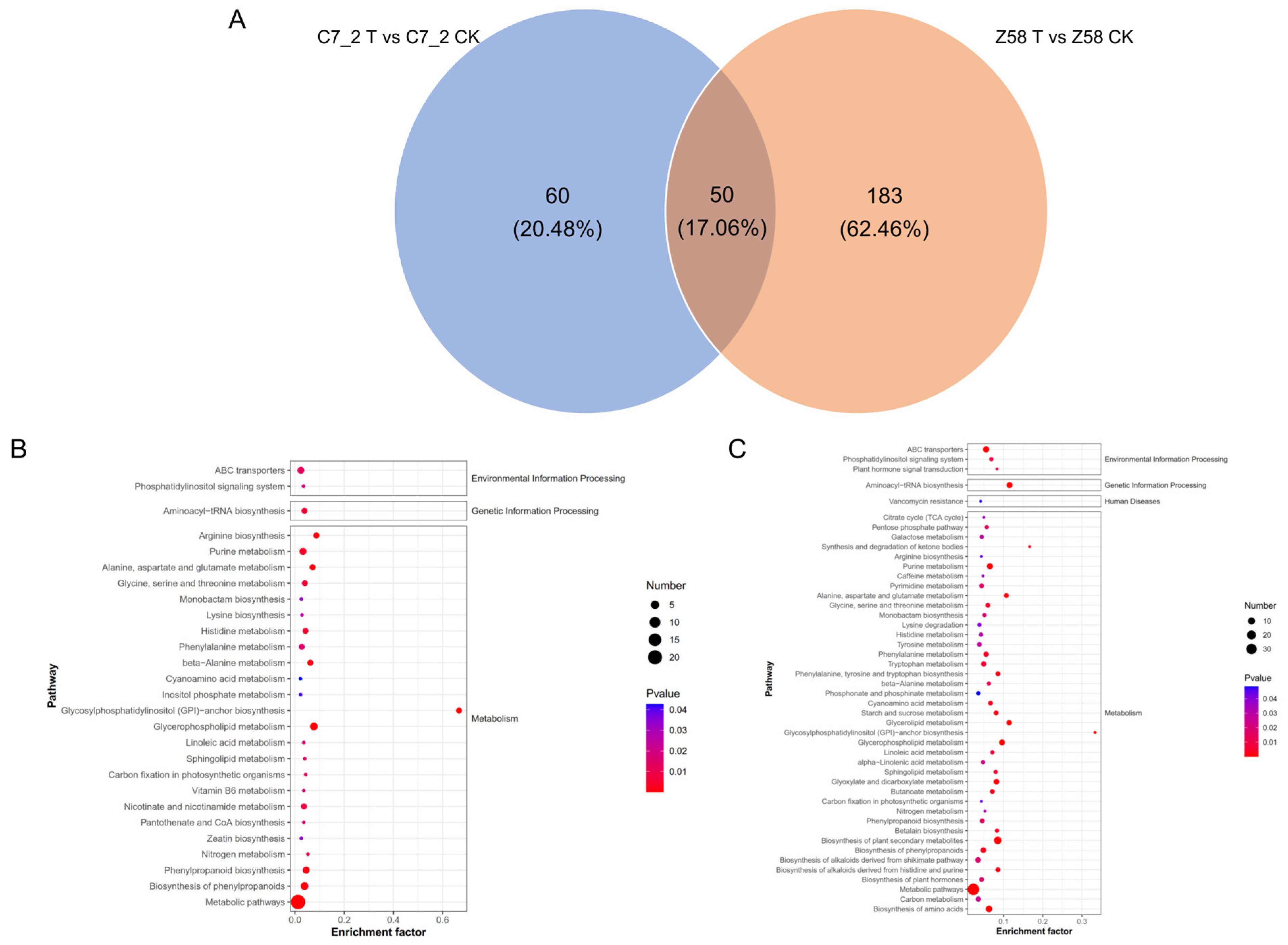 Plants 14 01853 g007