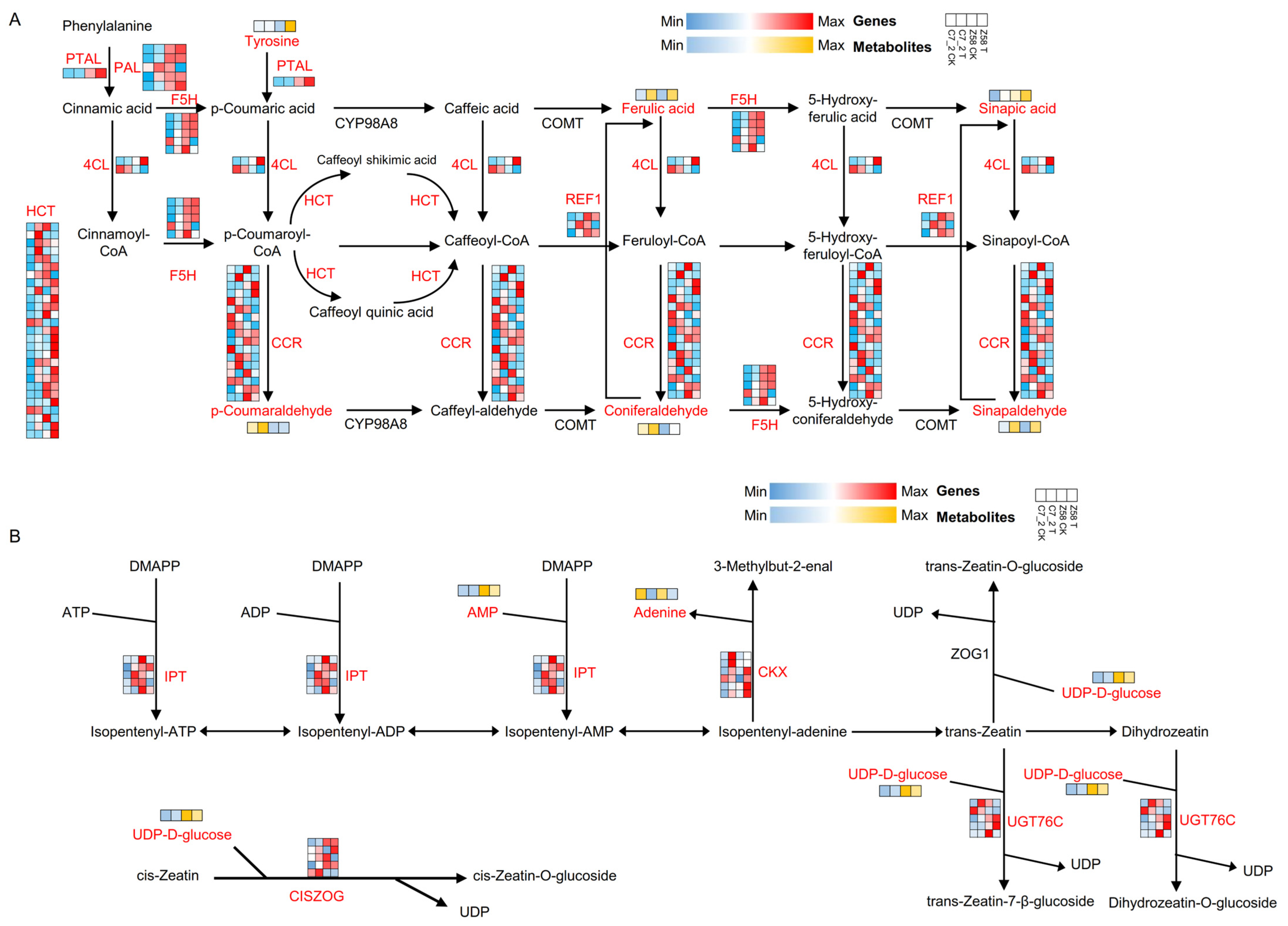 Plants 14 01853 g009