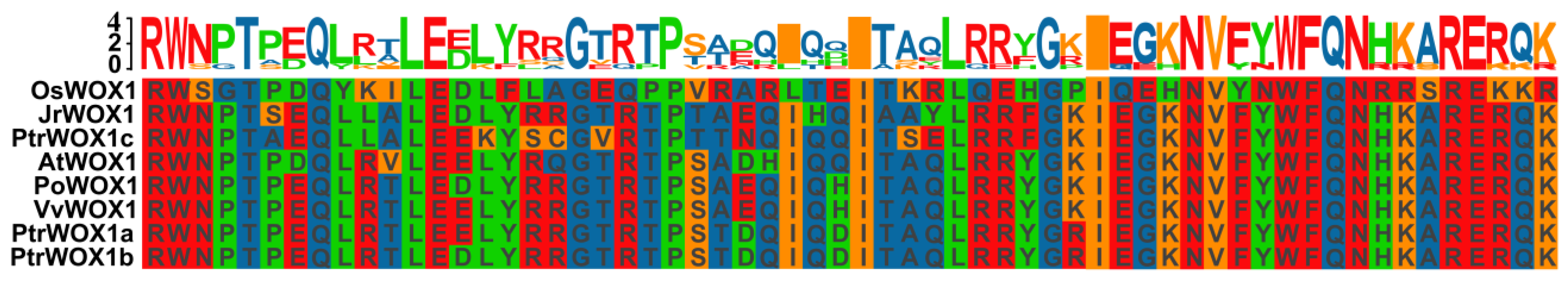 Plants 14 01857 g001