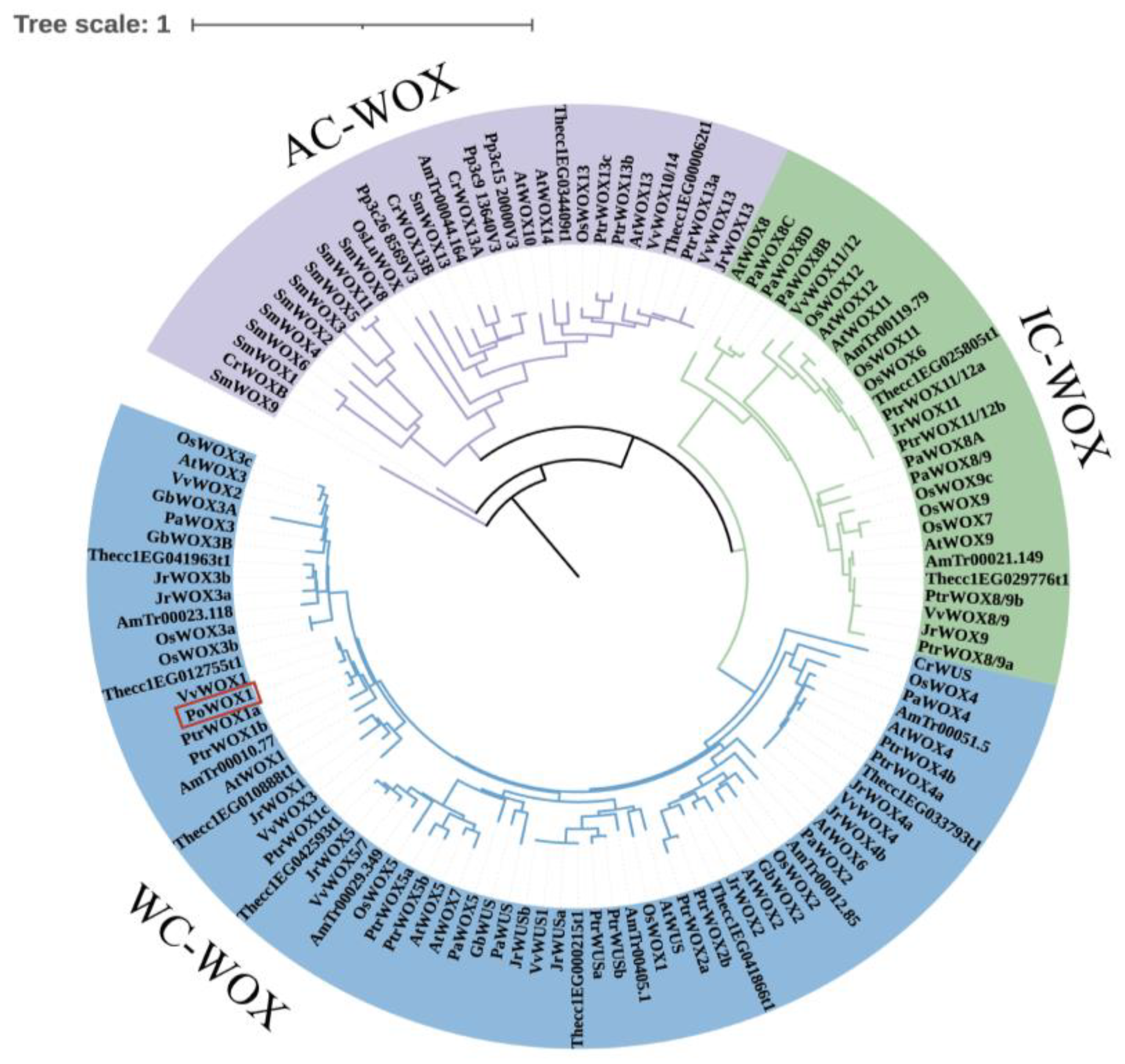 Plants 14 01857 g002