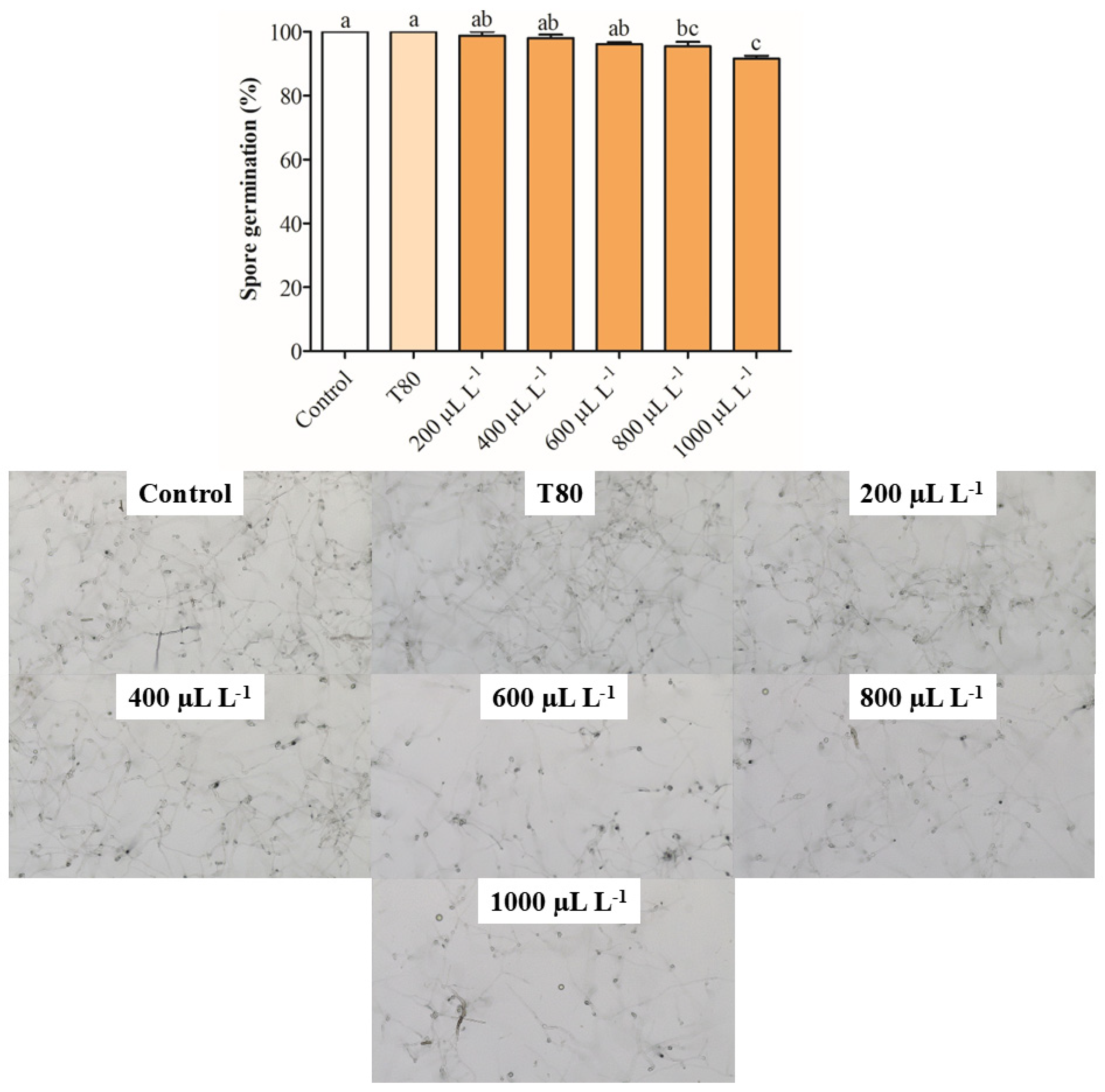 Plants 14 01859 g002