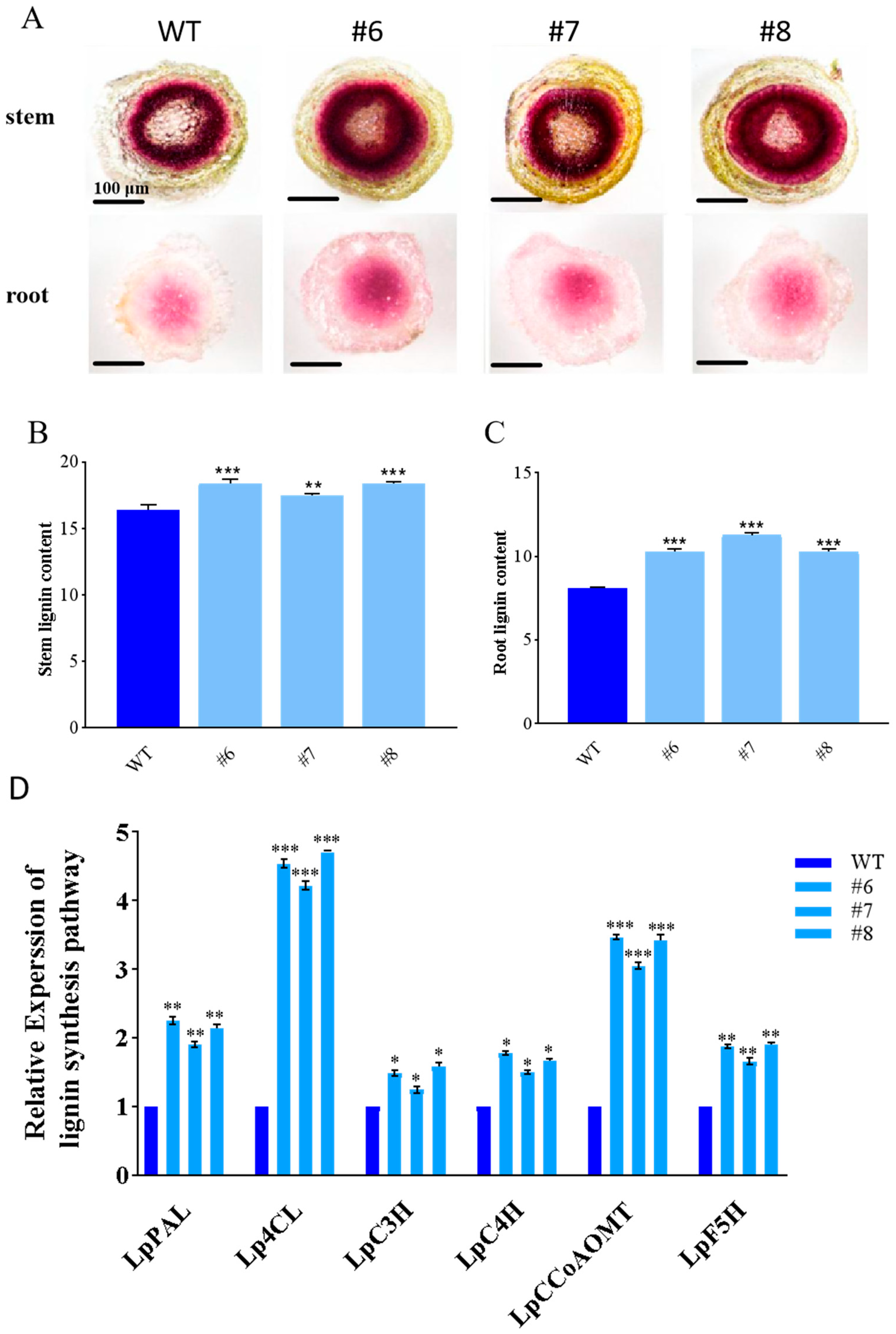 Plants 14 01860 g004
