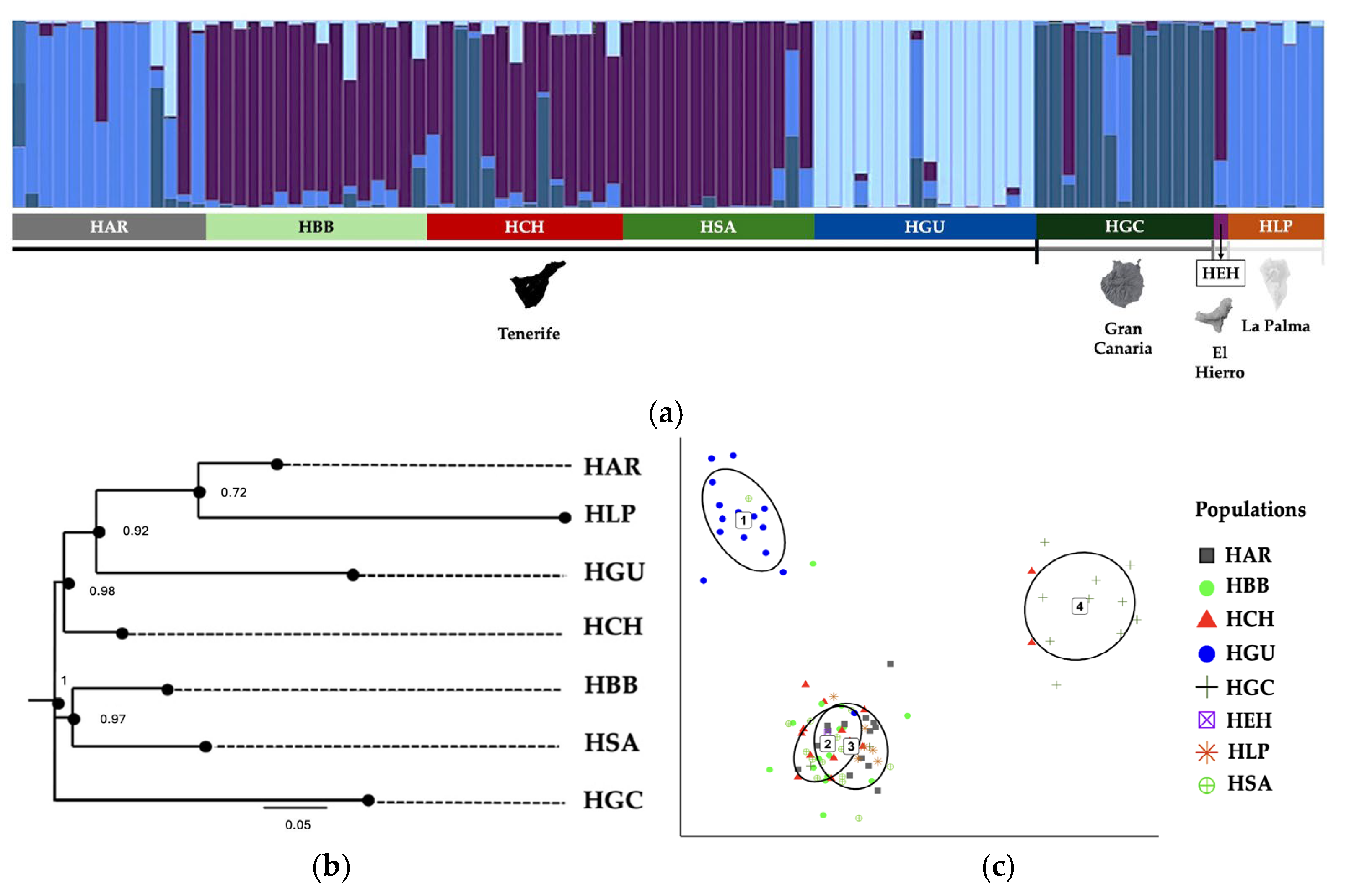 Plants 14 01862 g001 Plants 14 01862 g001