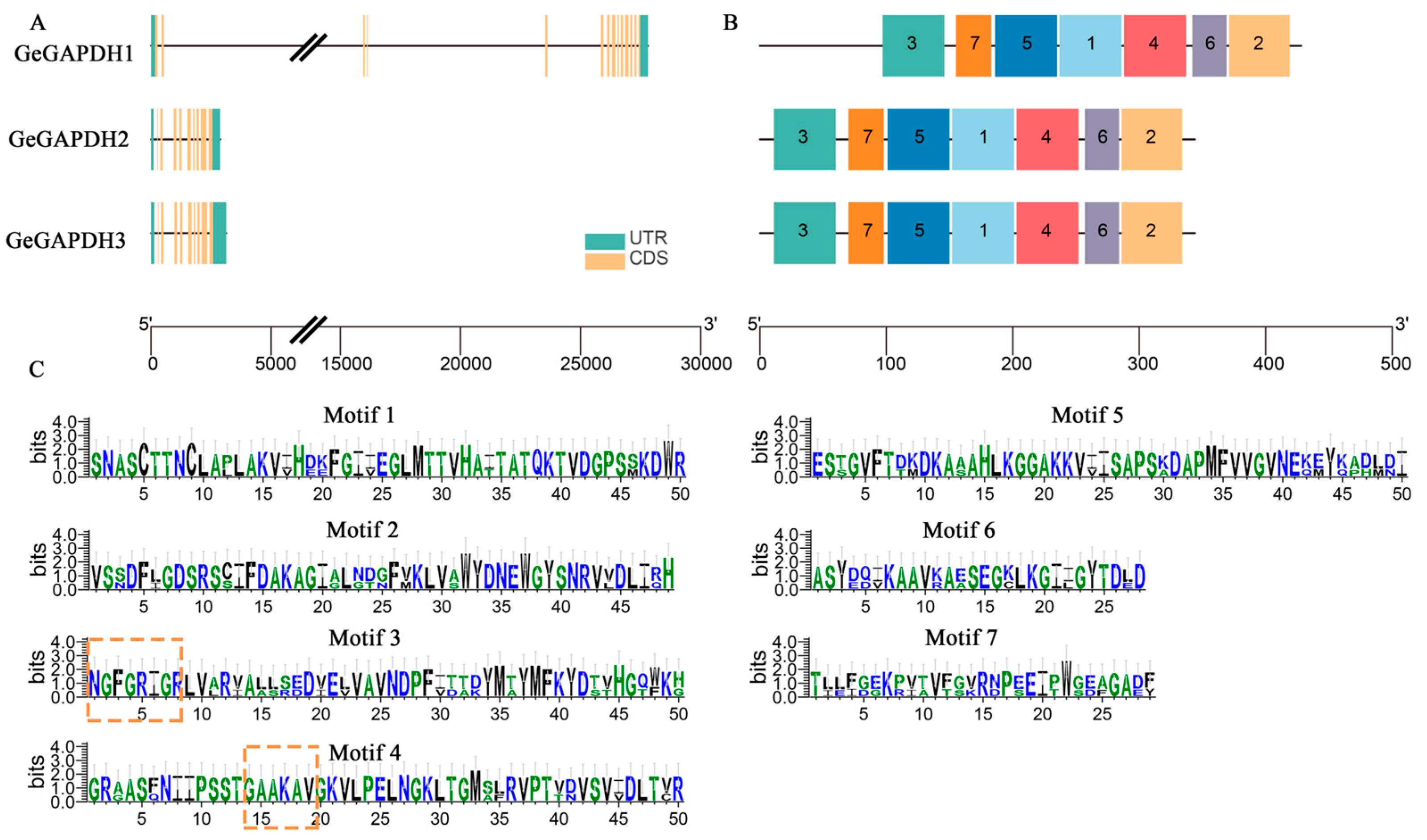 Plants 14 01866 g001
