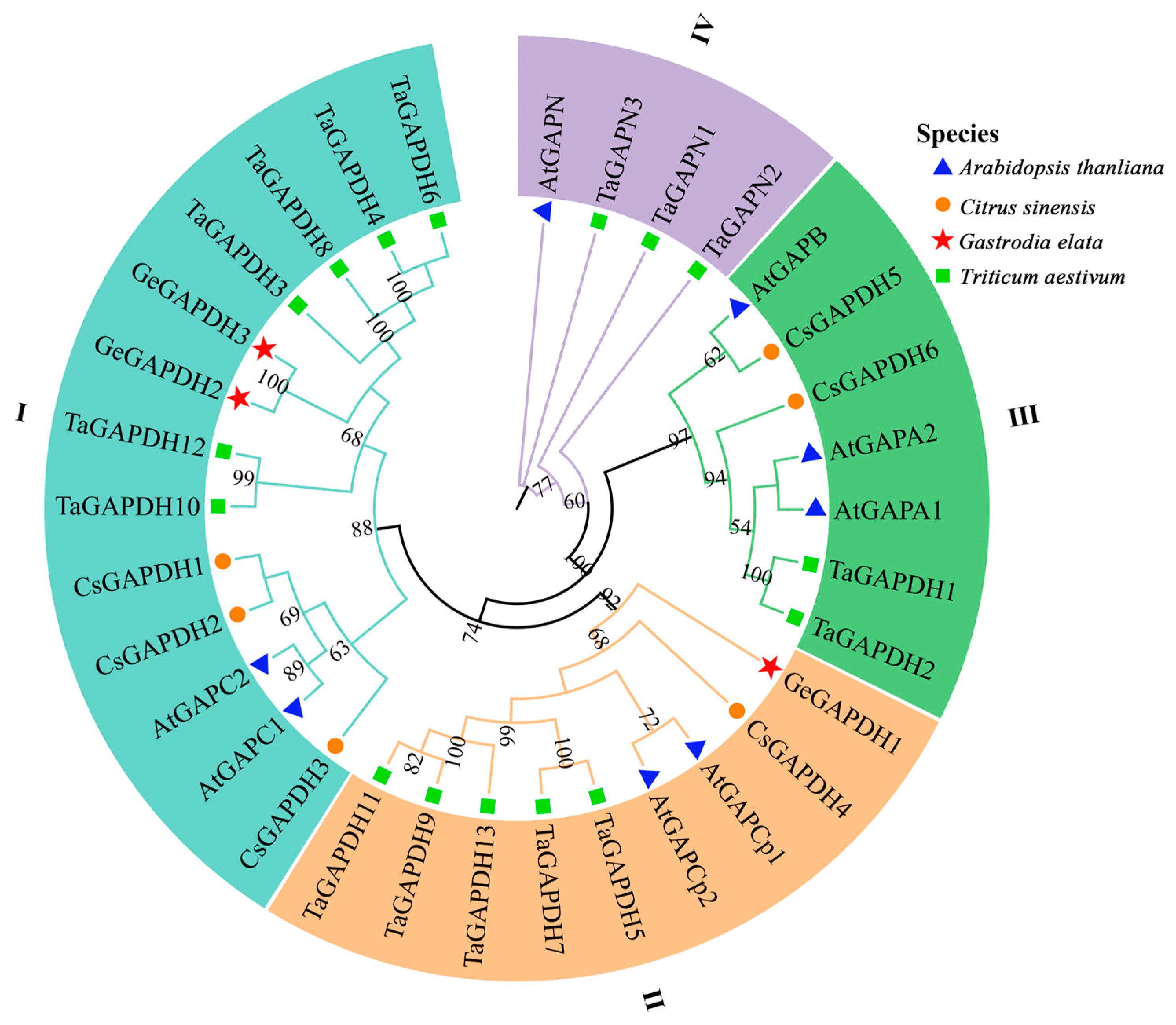 Plants 14 01866 g002