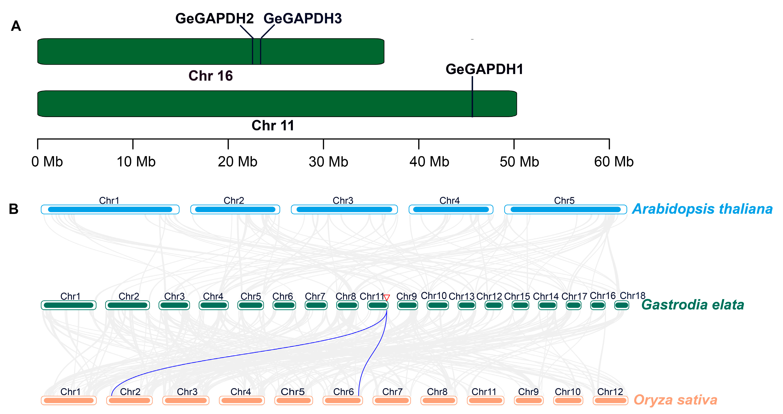 Plants 14 01866 g003