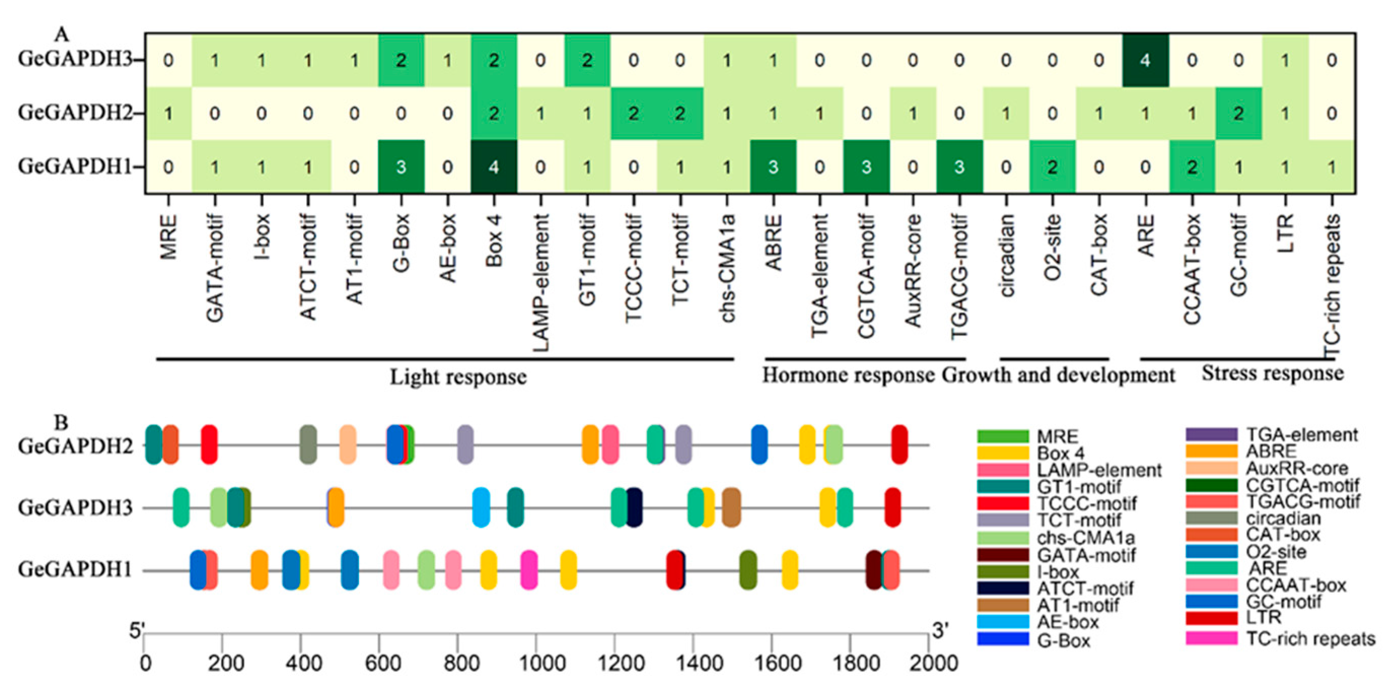 Plants 14 01866 g004