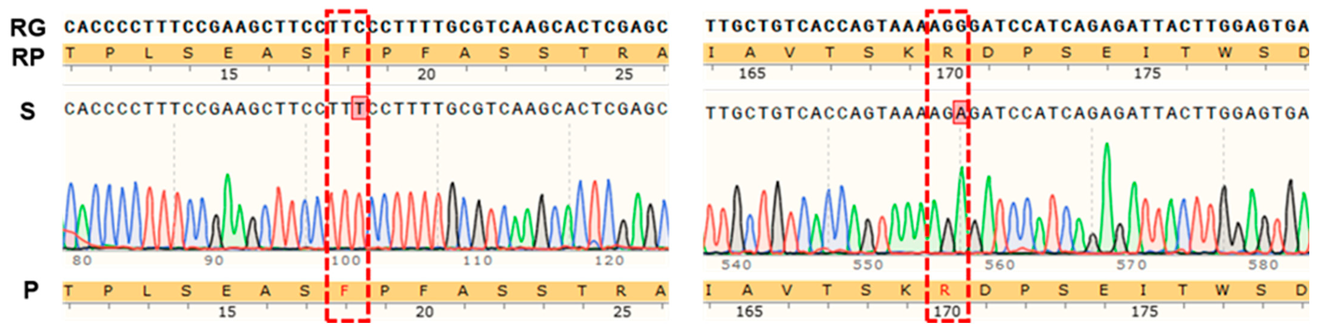 Plants 14 01866 g006